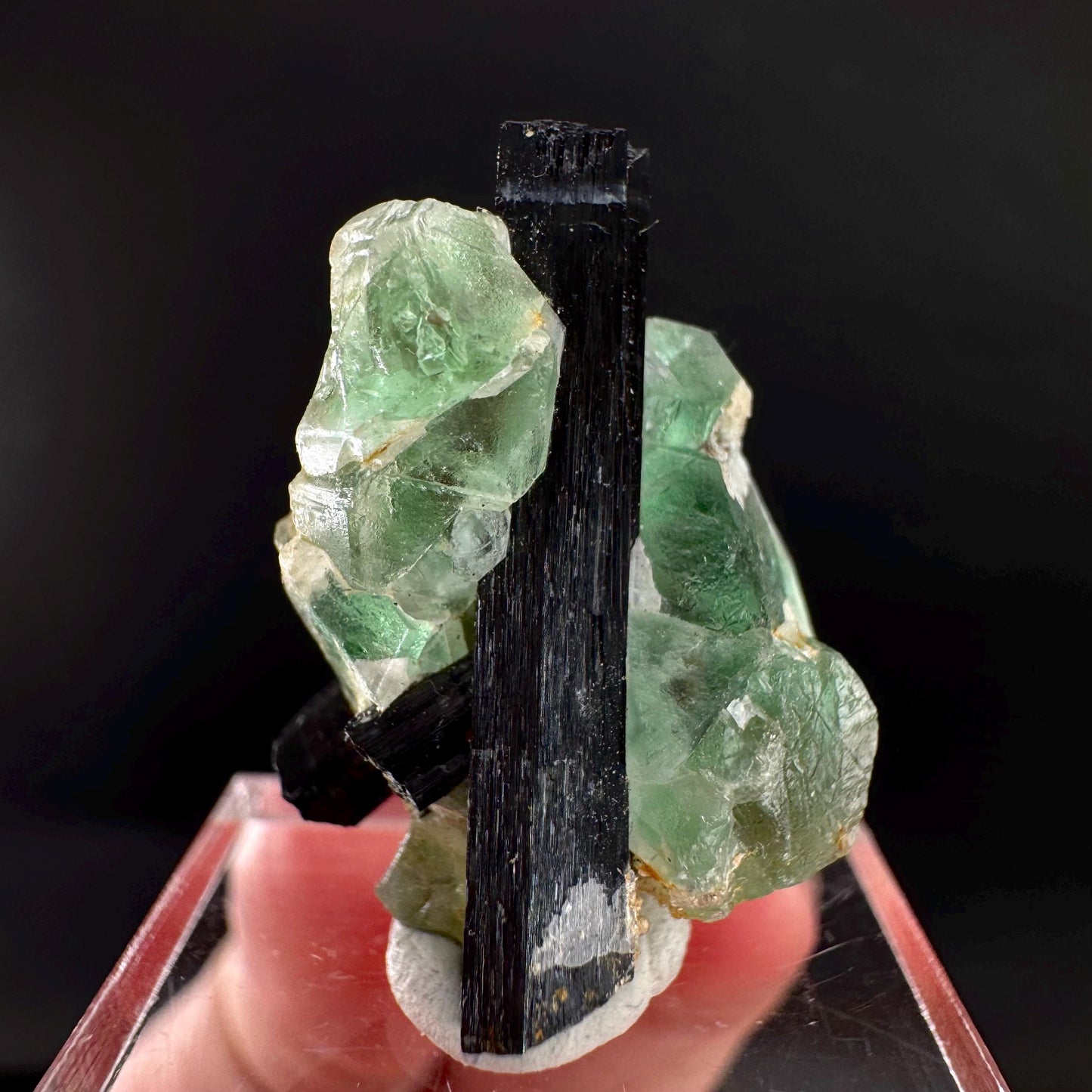 Fluorite w/ Black Tourmaline | Lollipop Pocket, green crystal, mineral specimen from Namibia