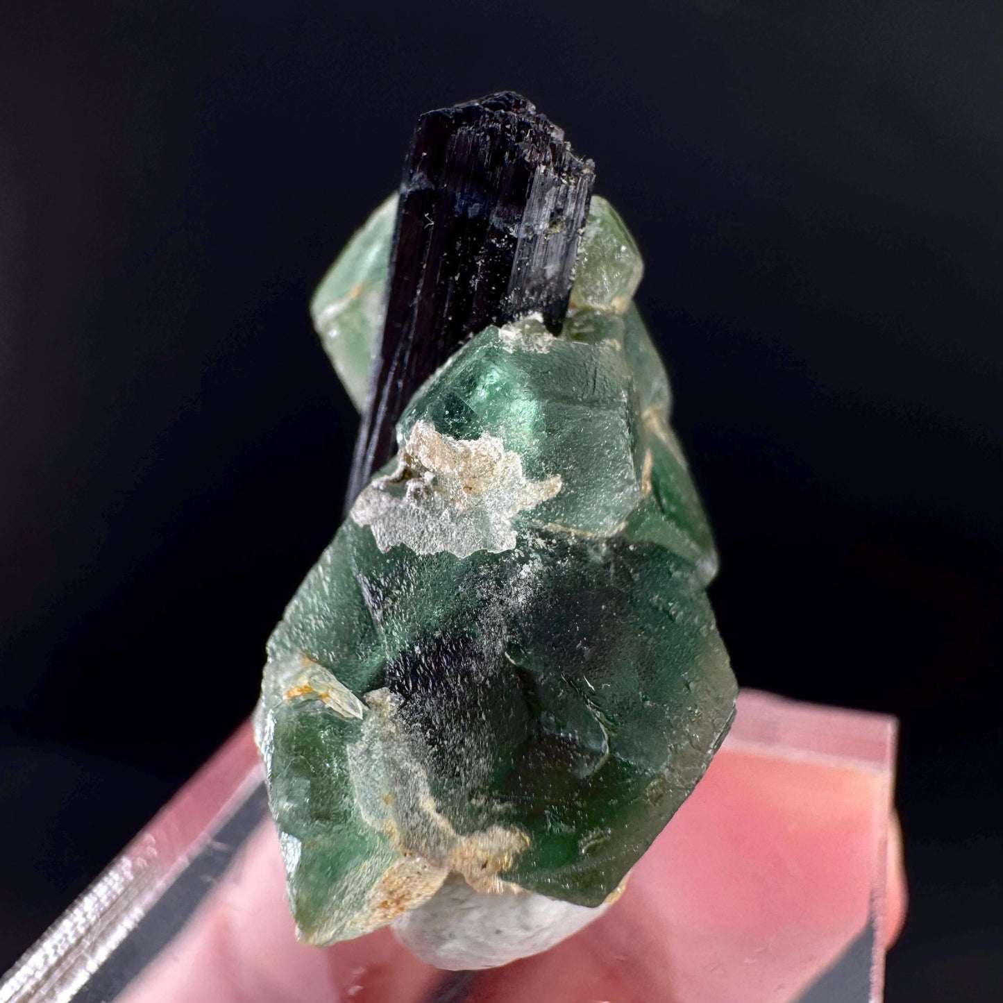 Fluorite w/ Black Tourmaline | Lollipop Pocket, green crystal, mineral specimen from Namibia
