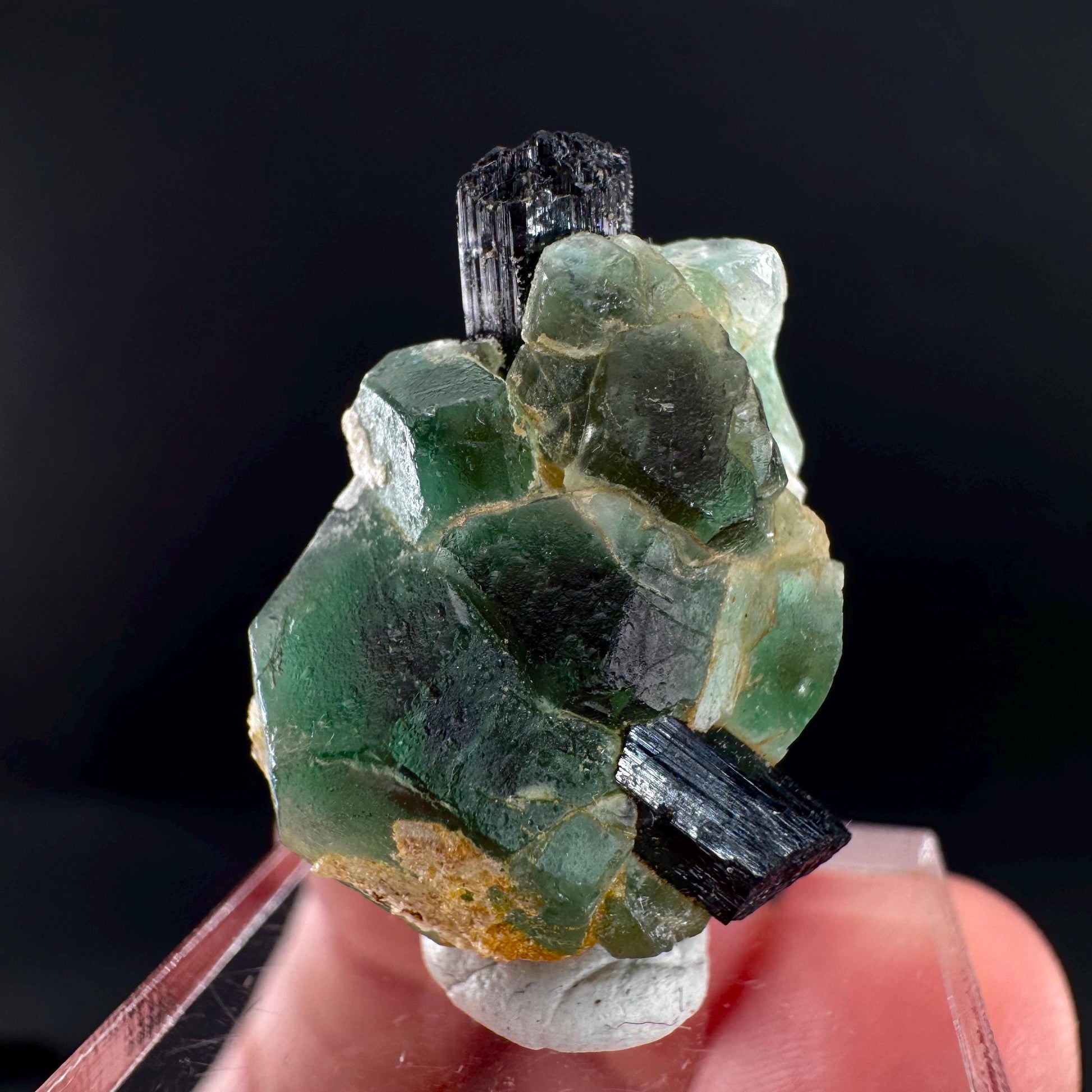 Fluorite w/ Black Tourmaline | Lollipop Pocket, green crystal, mineral specimen from Namibia