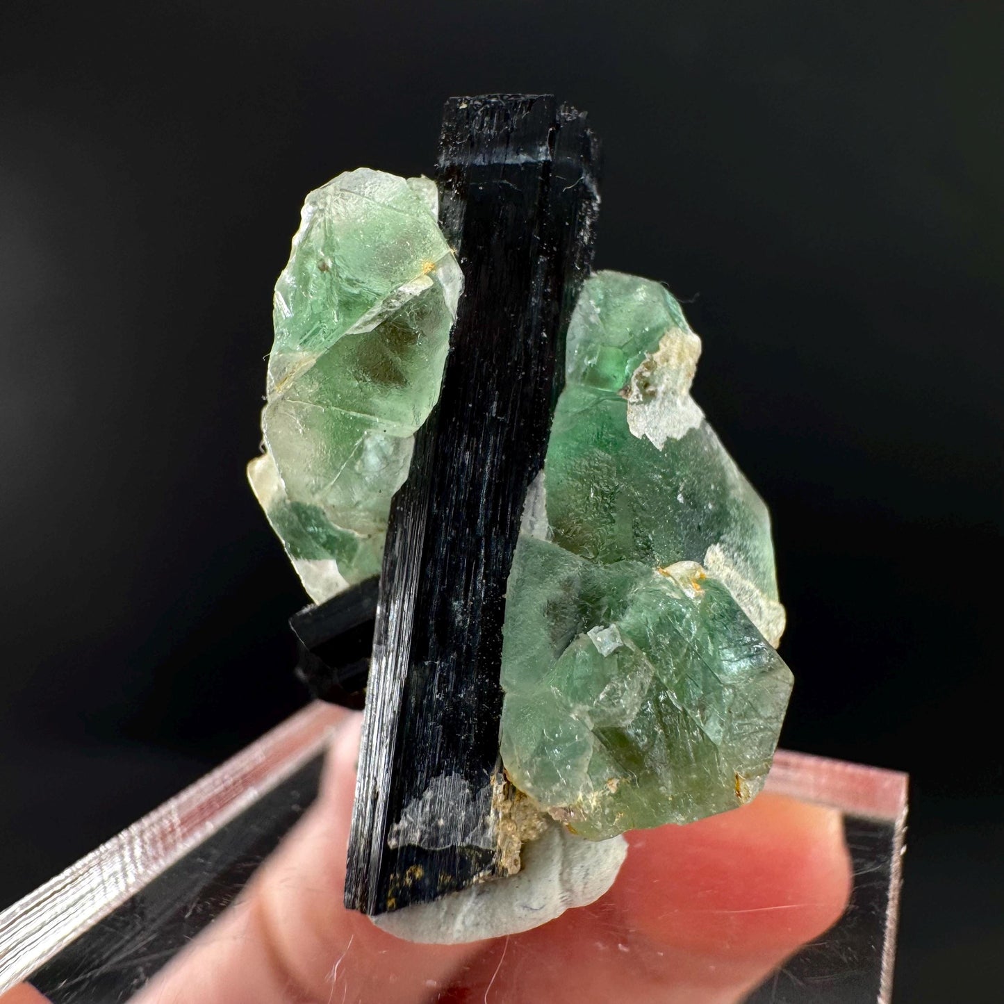 Fluorite w/ Black Tourmaline | Lollipop Pocket, green crystal, mineral specimen from Namibia
