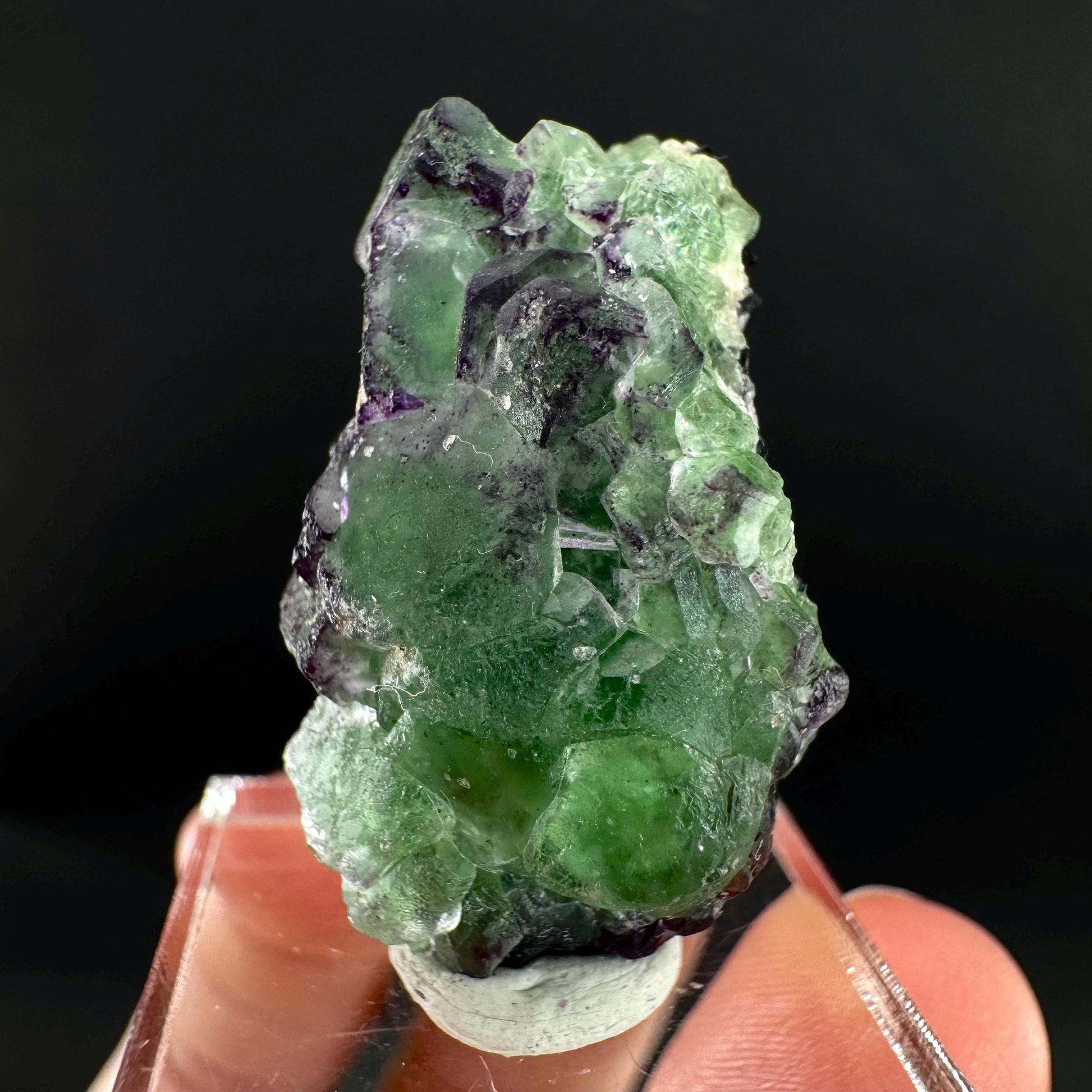 Fluorite w/ Schorl, & Muscovite | Lollipop Pocket, green crystal cluster, mineral specimen from Namibia