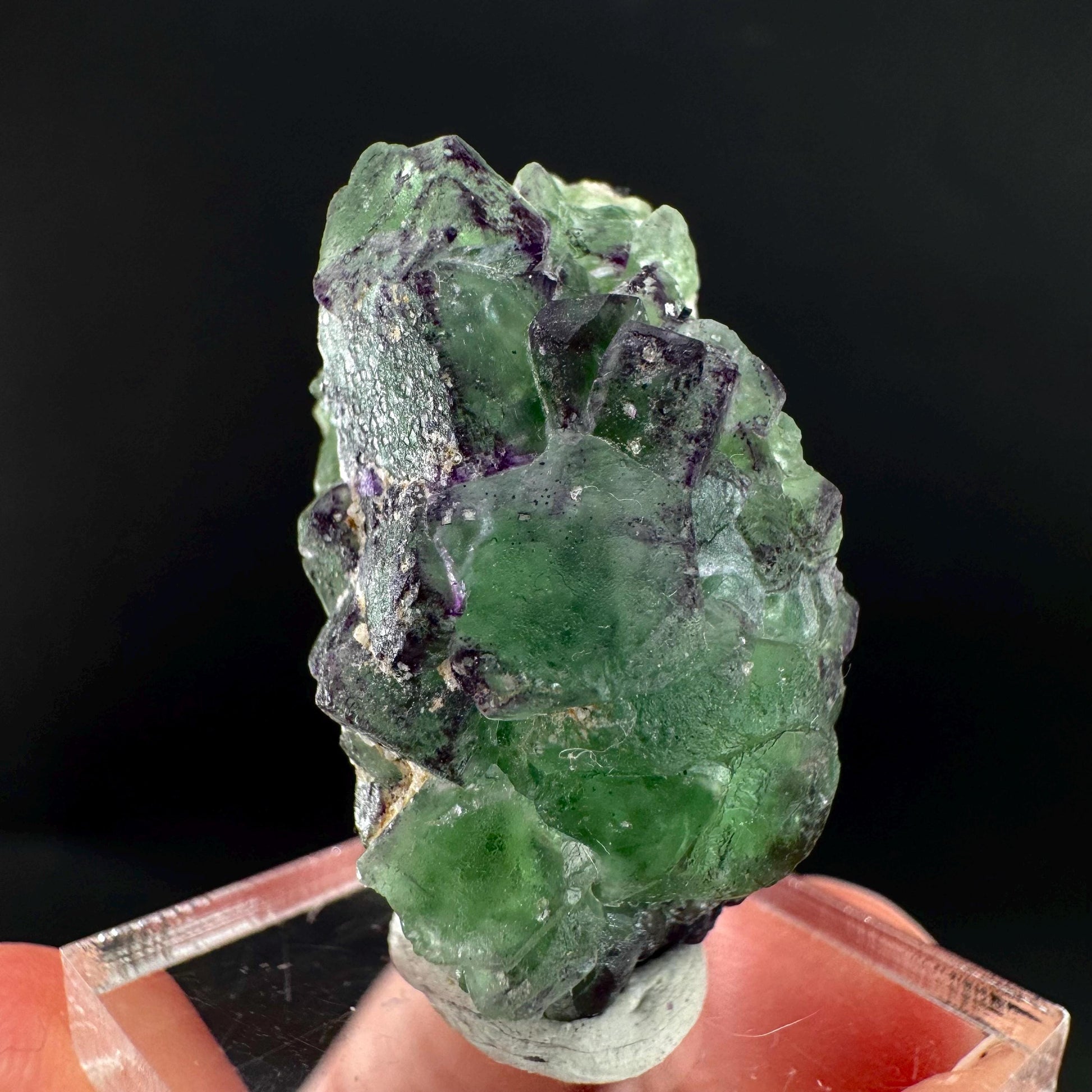 Fluorite w/ Schorl, & Muscovite | Lollipop Pocket, green crystal cluster, mineral specimen from Namibia