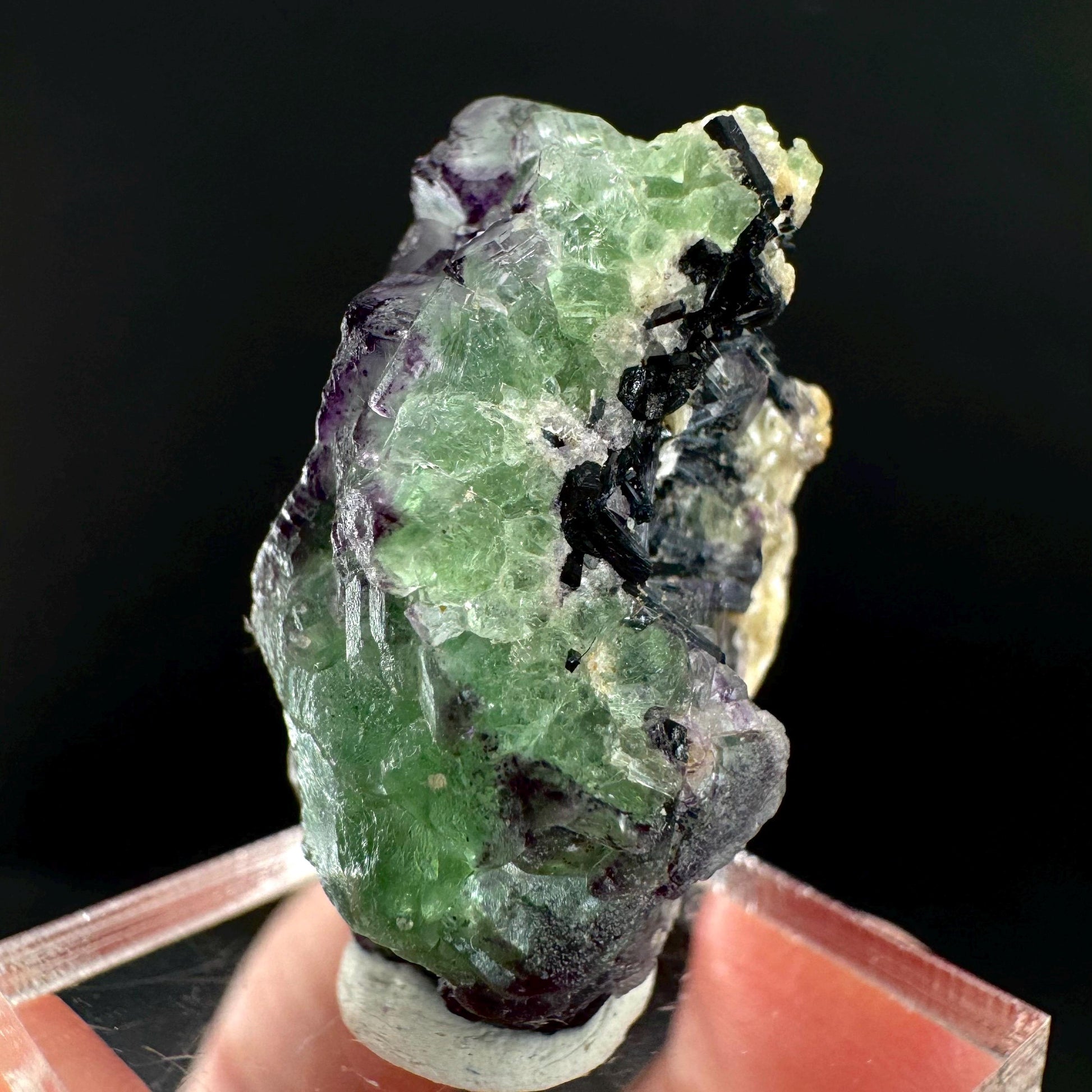 Fluorite w/ Schorl, & Muscovite | Lollipop Pocket, green crystal cluster, mineral specimen from Namibia