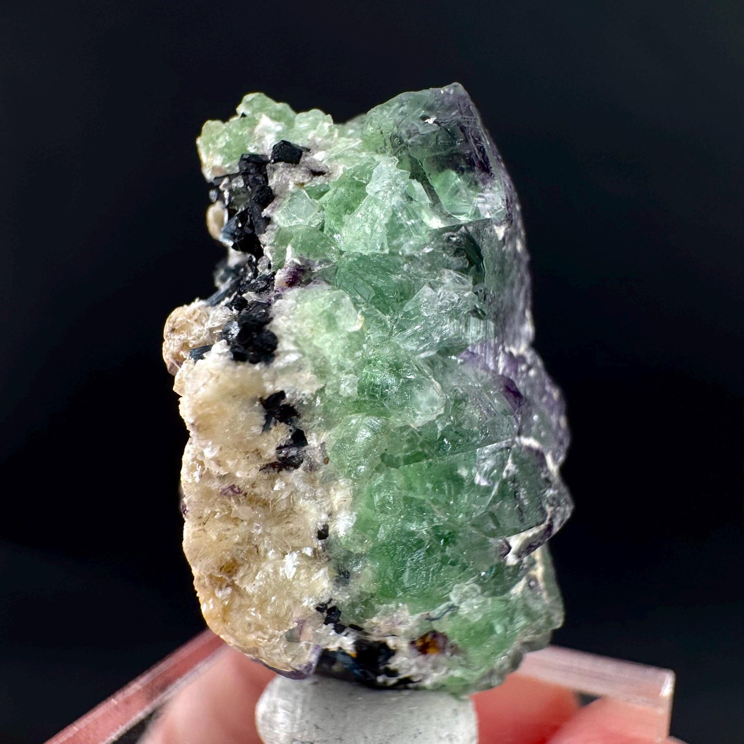 Fluorite w/ Schorl, & Muscovite | Lollipop Pocket, green crystal cluster, mineral specimen from Namibia
