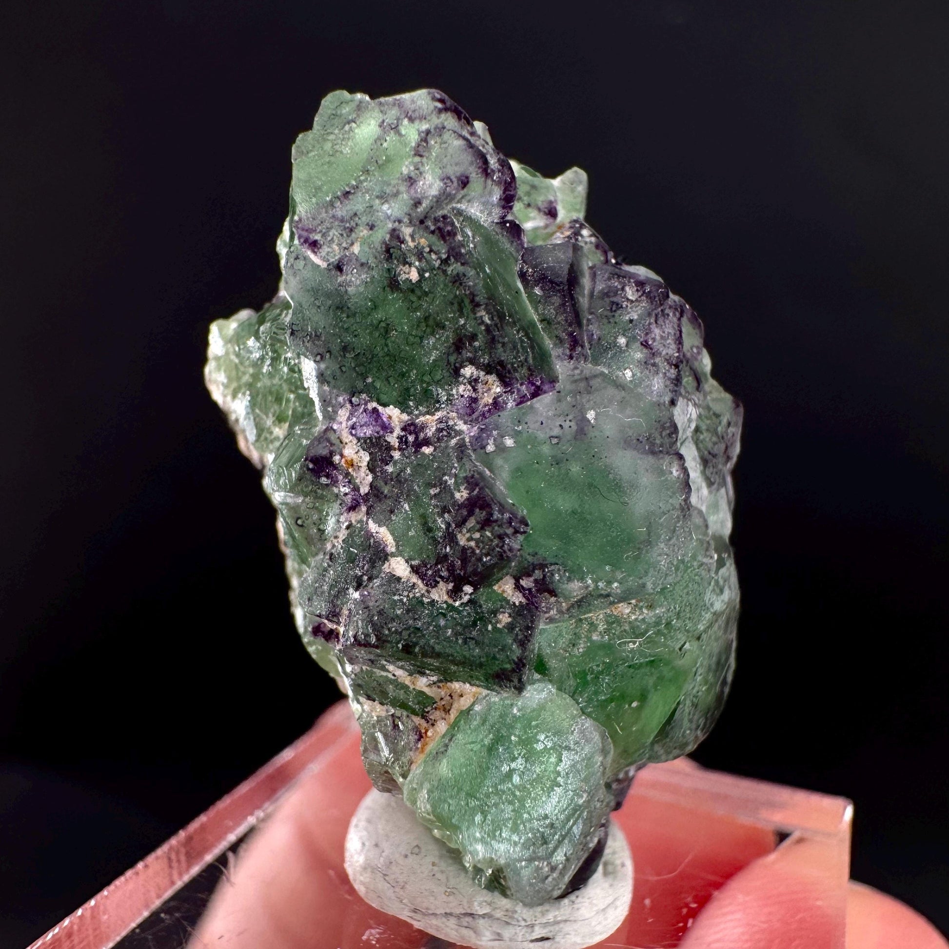 Fluorite w/ Schorl, & Muscovite | Lollipop Pocket, green crystal cluster, mineral specimen from Namibia