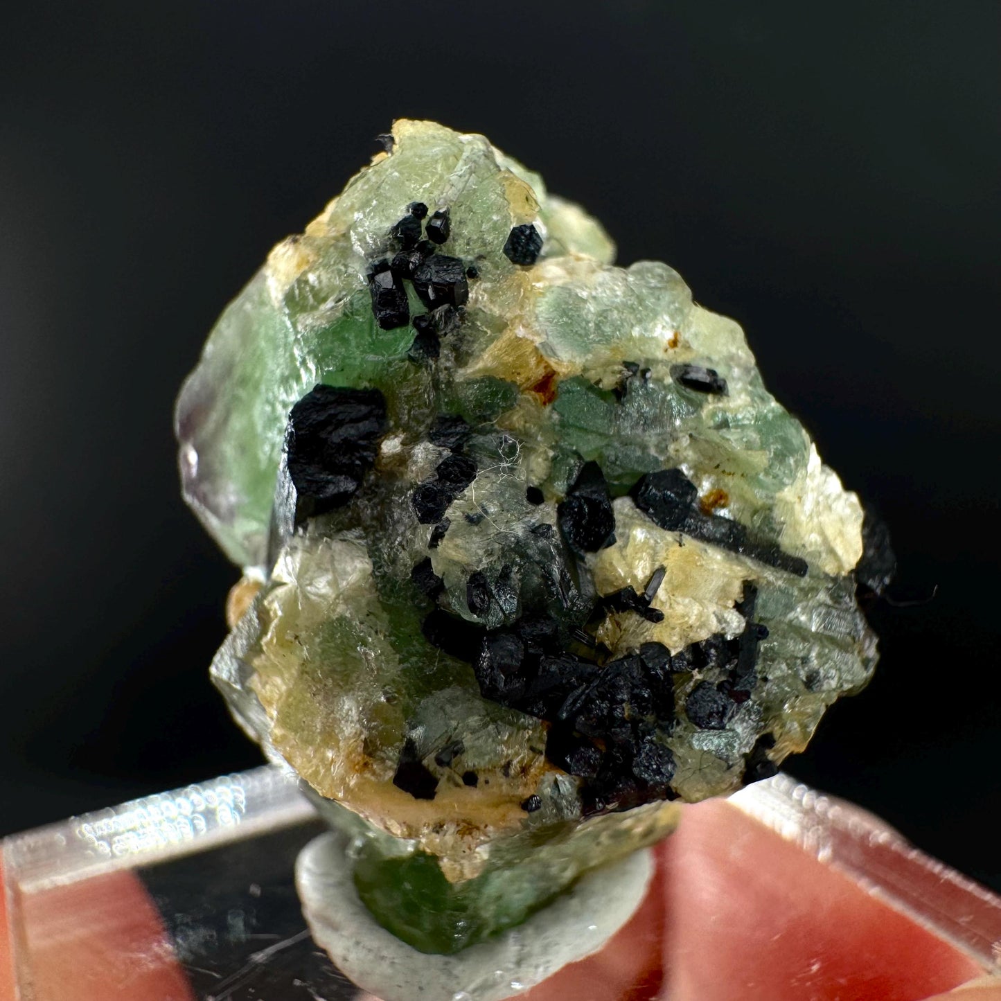 Fluorite w/ Schorl, & Muscovite | Lollipop Pocket, green crystal cluster, mineral specimen from Namibia