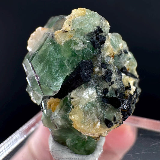 Fluorite w/ Schorl, & Muscovite | Lollipop Pocket, green crystal cluster, mineral specimen from Namibia