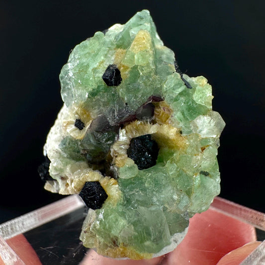 Fluorite w/ Schorl, & Muscovite | Lollipop Pocket, green crystal cluster, mineral specimen from Namibia