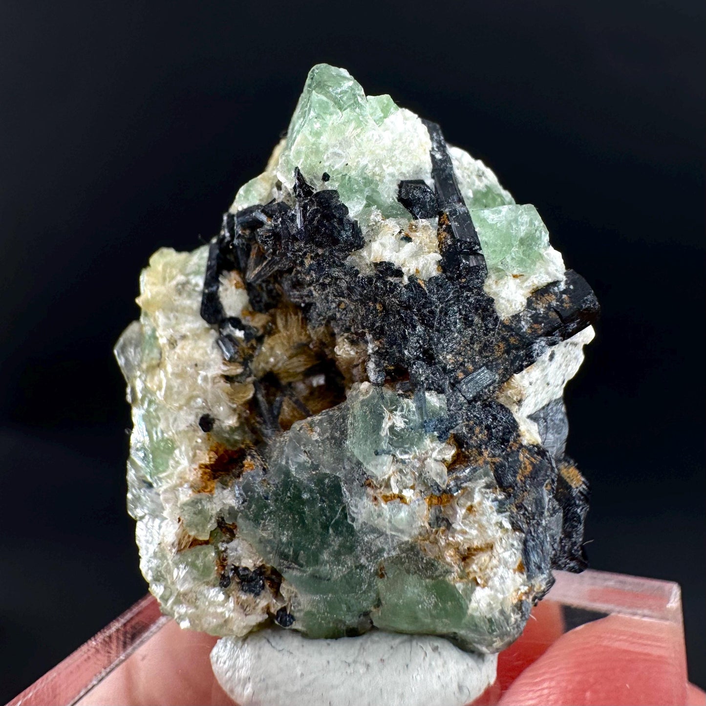 Fluorite w/ Schorl, & Muscovite | Lollipop Pocket, green crystal cluster, mineral specimen from Namibia