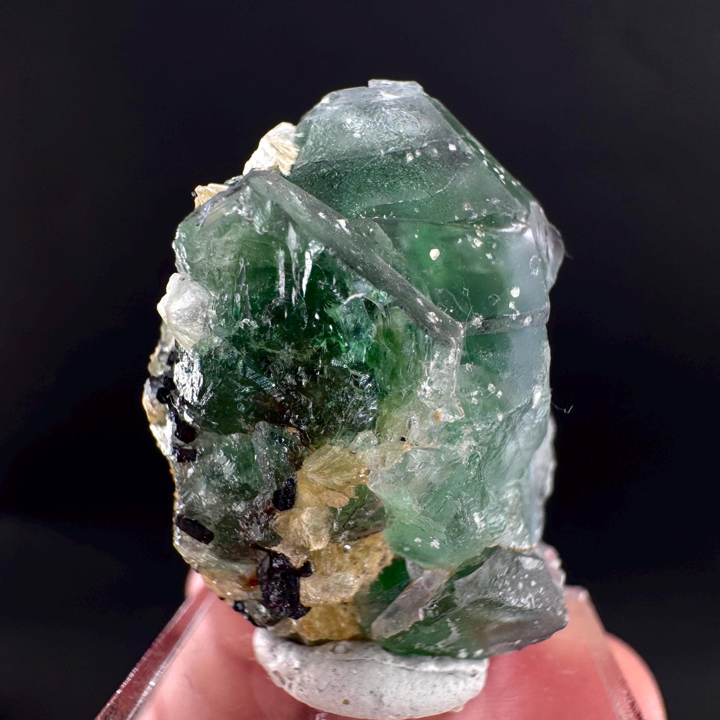 Fluorite w/ Black Tourmaline | Lollipop Pocket, green crystal, mineral specimen from Namibia