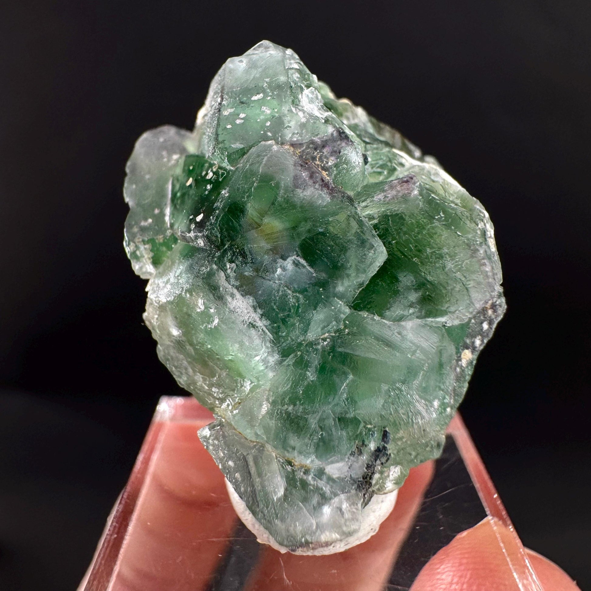Fluorite w/ Black Tourmaline | Lollipop Pocket, green crystal, mineral specimen from Namibia