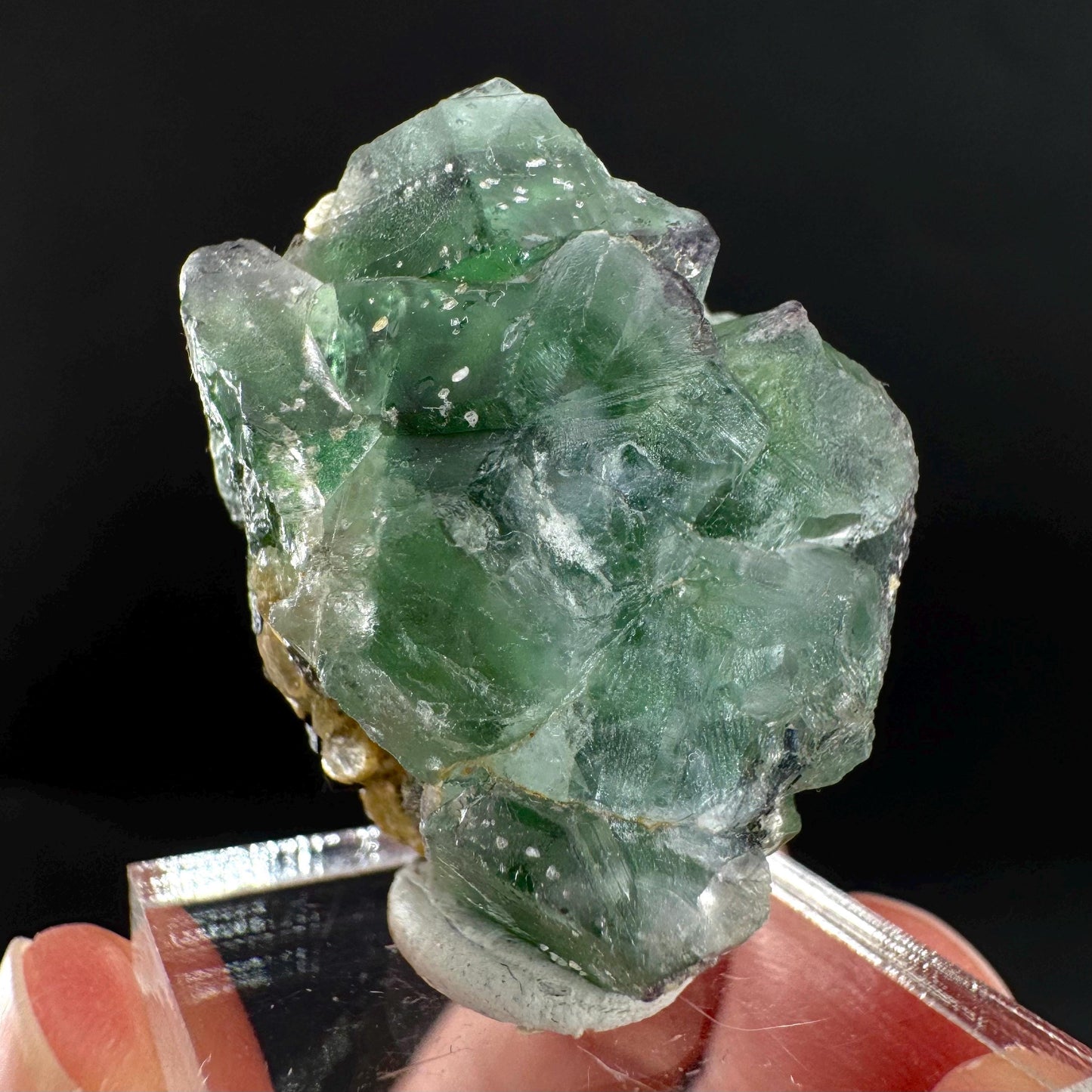 Fluorite w/ Black Tourmaline | Lollipop Pocket, green crystal, mineral specimen from Namibia