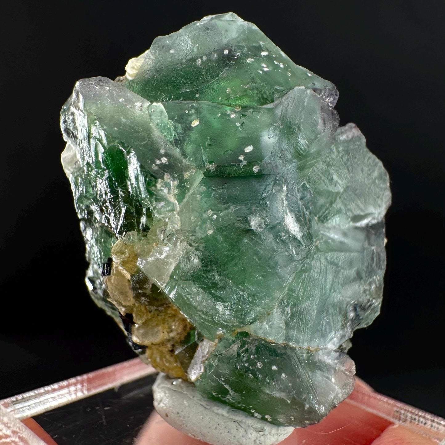 Fluorite w/ Black Tourmaline | Lollipop Pocket, green crystal, mineral specimen from Namibia