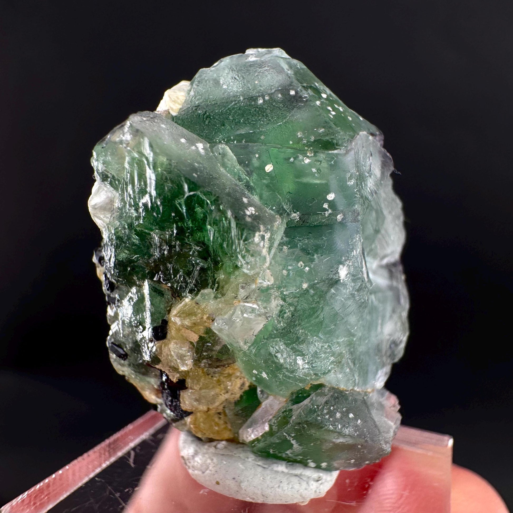 Fluorite w/ Black Tourmaline | Lollipop Pocket, green crystal, mineral specimen from Namibia