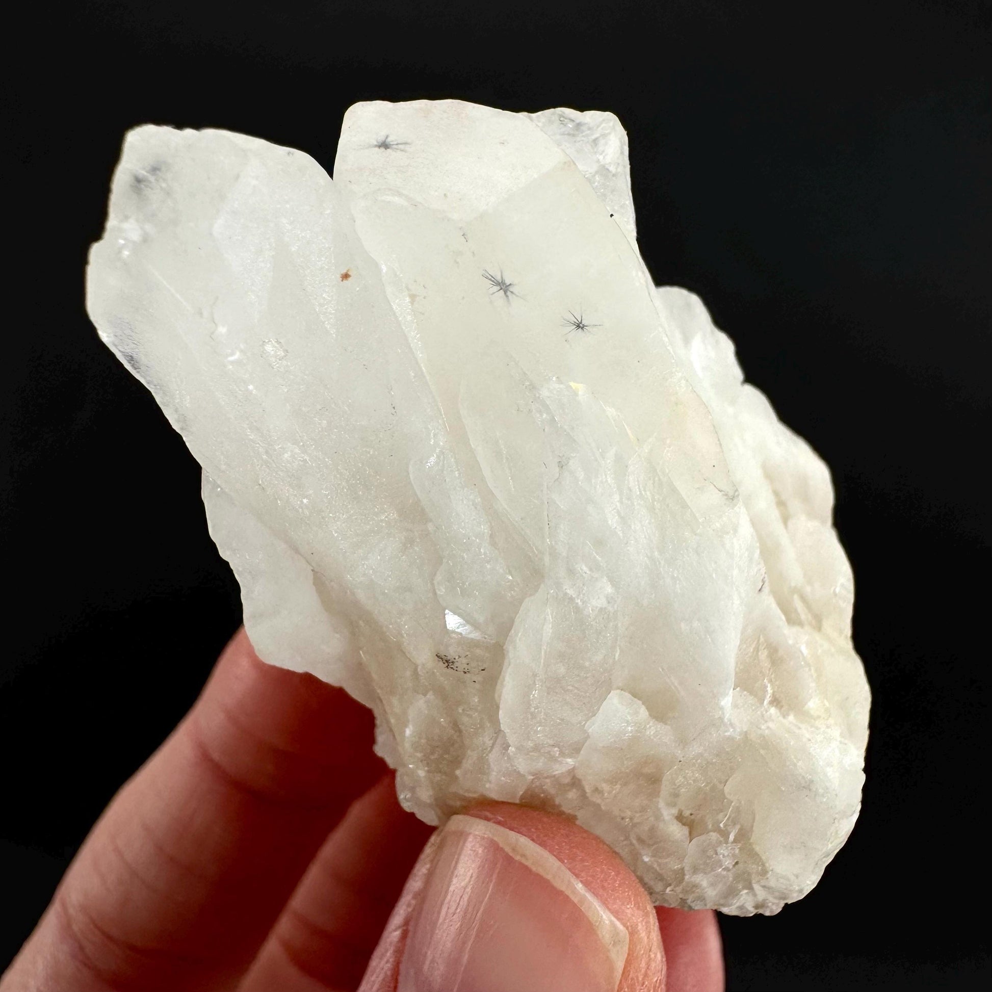 Hollandite Star Quartz | natural spider quartz crystal from Madagascar