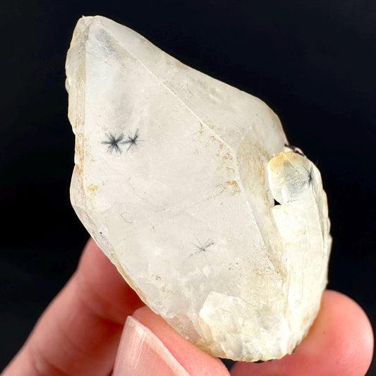 Hollandite Star Quartz | natural spider quartz crystal from Madagascar