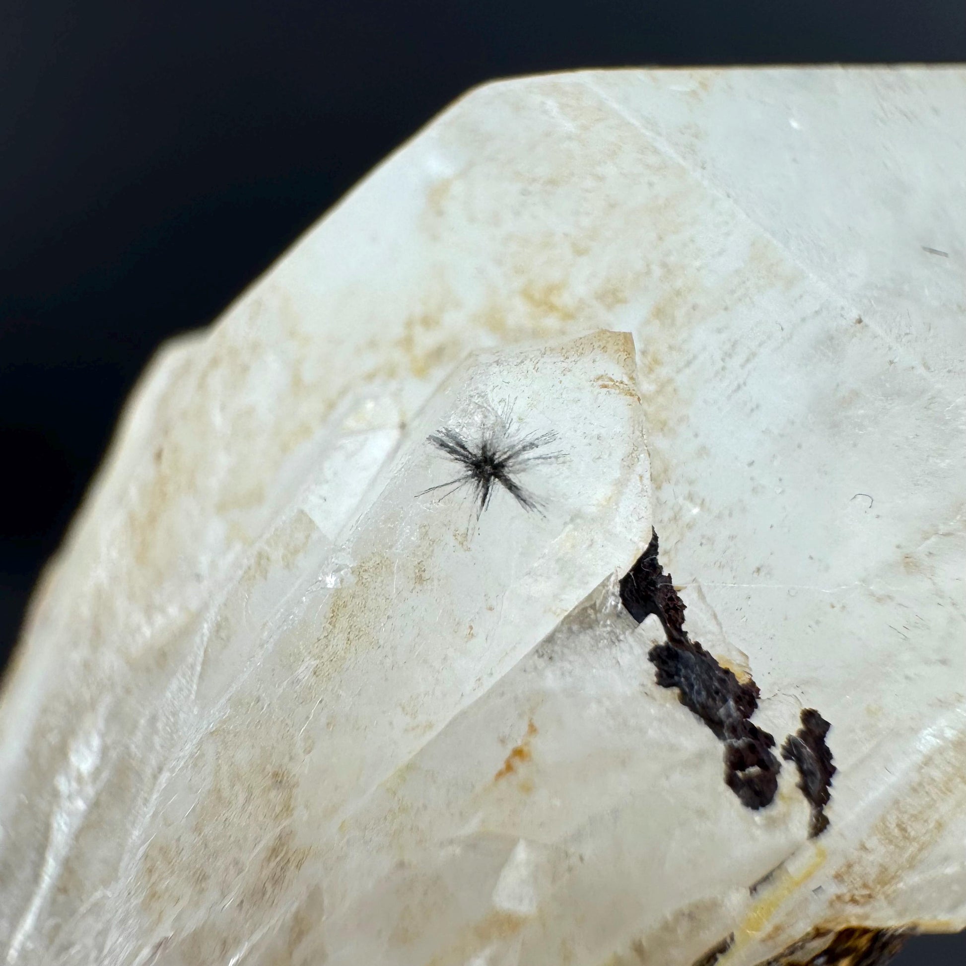 Hollandite Star Quartz | natural spider quartz crystal from Madagascar