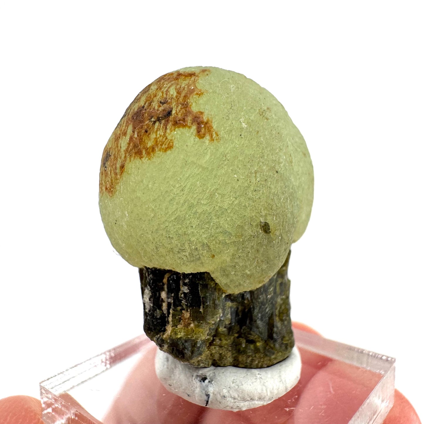 Prehnite with Epidote | Botryoidal green crystal, mineral specimen from Mali