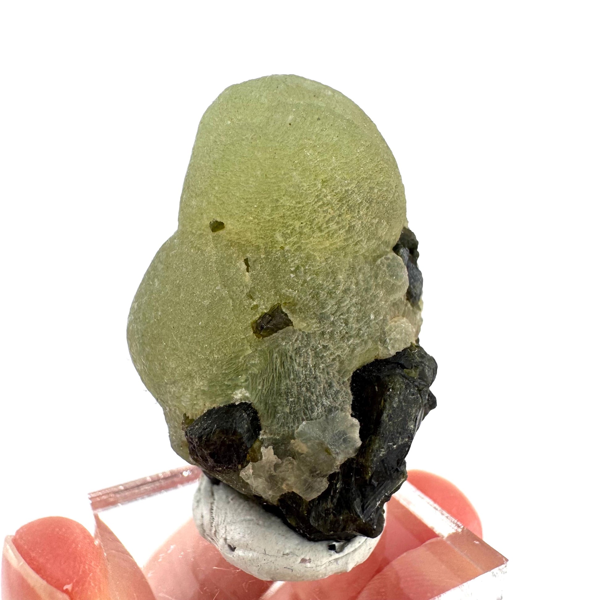 Prehnite with Epidote | Botryoidal green crystal, mineral specimen from Mali