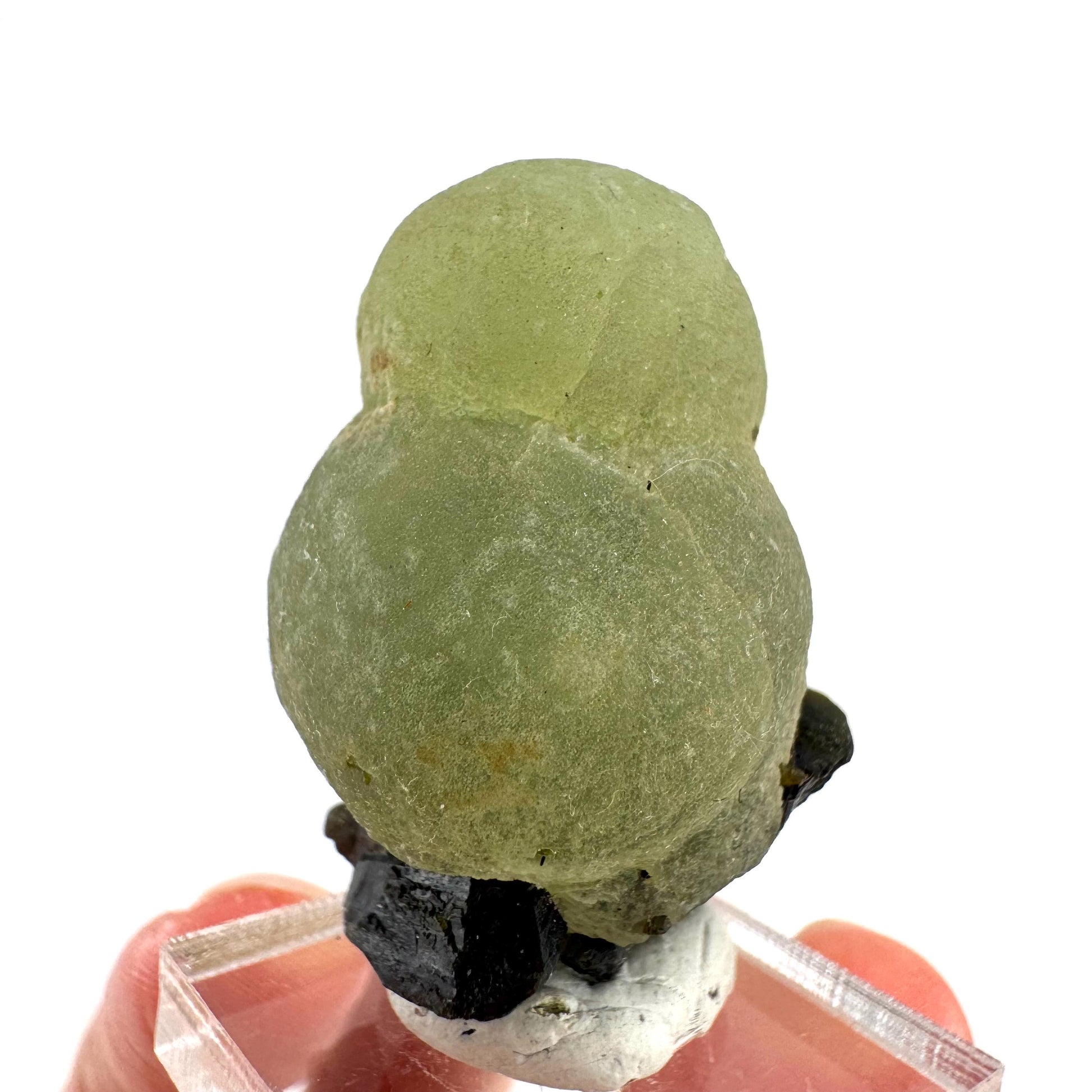 Prehnite with Epidote | Botryoidal green crystal, mineral specimen from Mali
