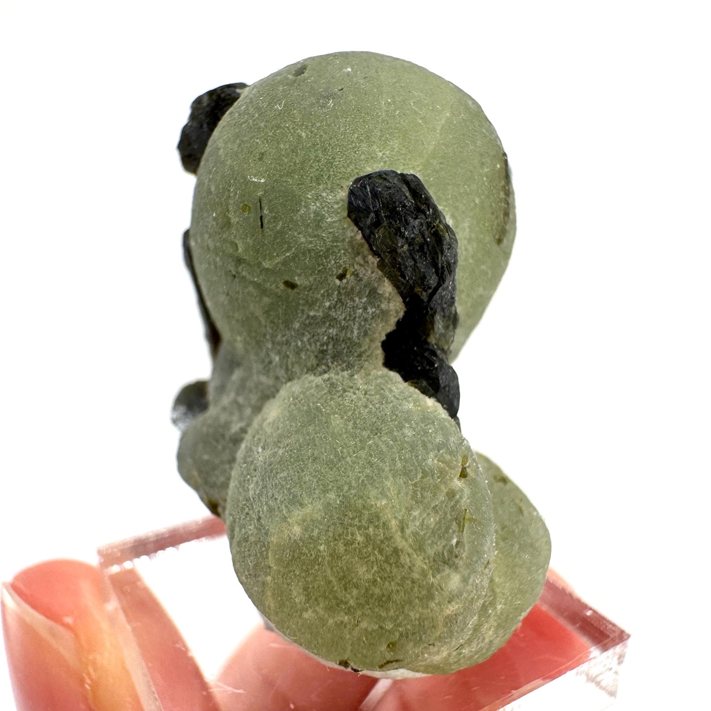 Prehnite with Epidote | Botryoidal green crystal, mineral specimen from Mali