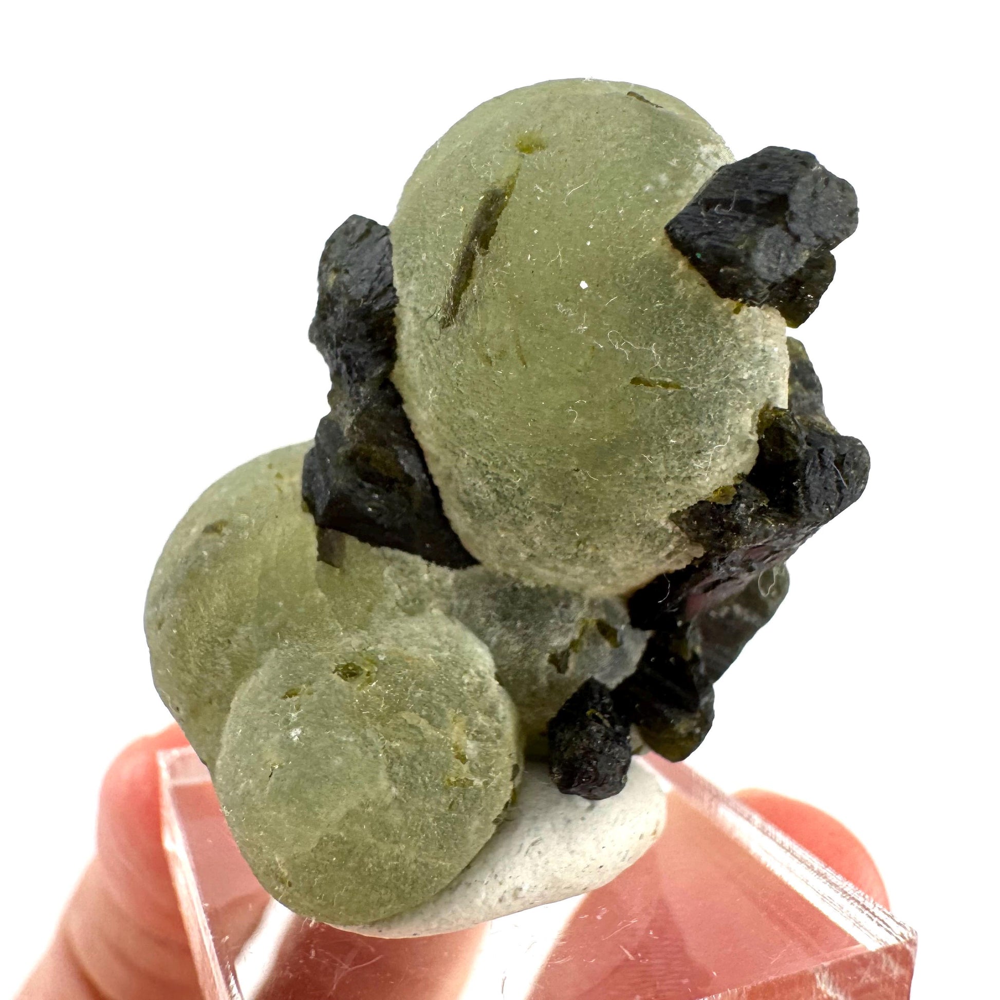 Prehnite with Epidote | Botryoidal green crystal, mineral specimen from Mali