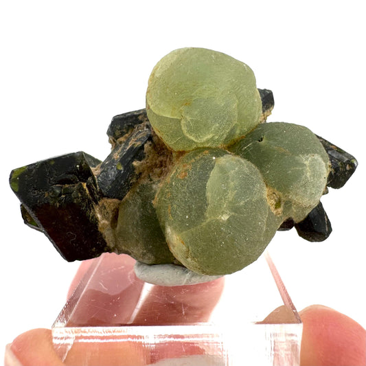 Prehnite with Epidote | Botryoidal green crystal, mineral specimen from Mali