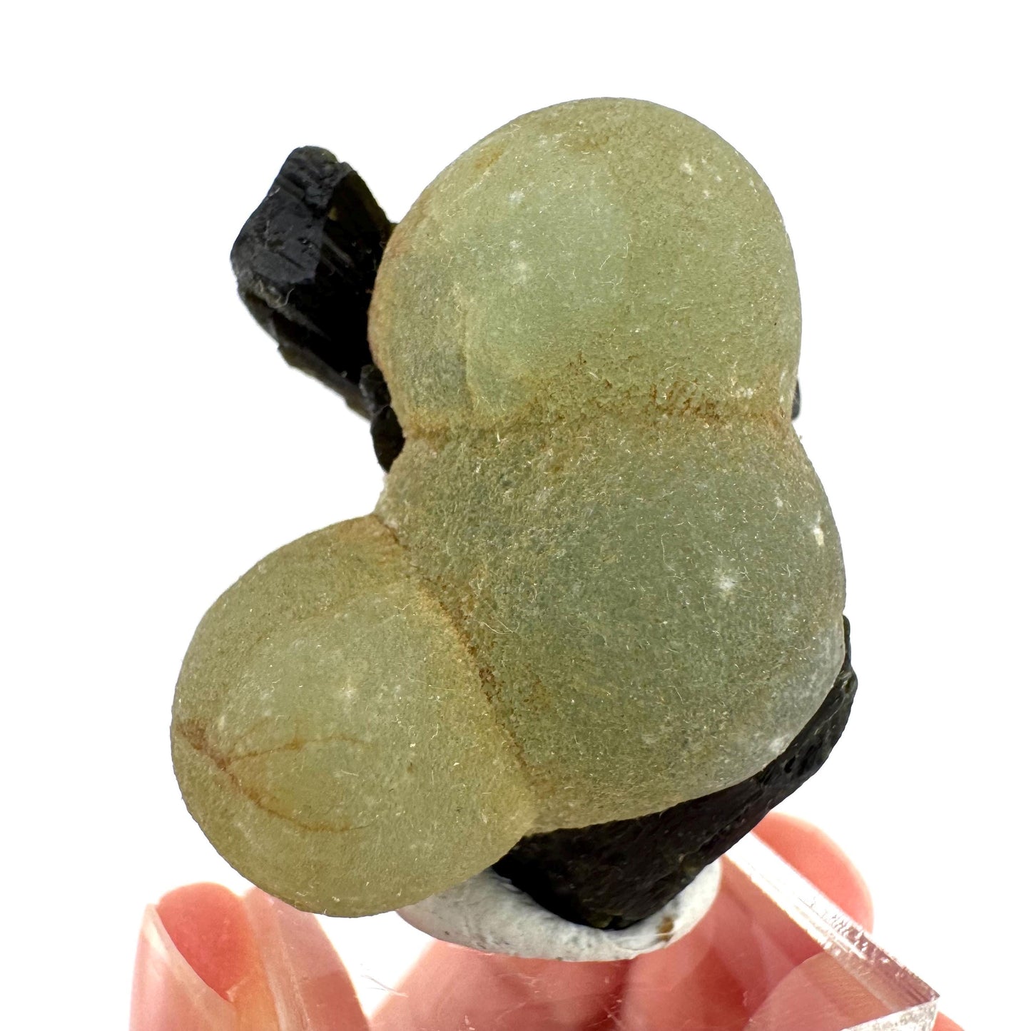 Prehnite with Epidote | Botryoidal green crystal, mineral specimen from Mali