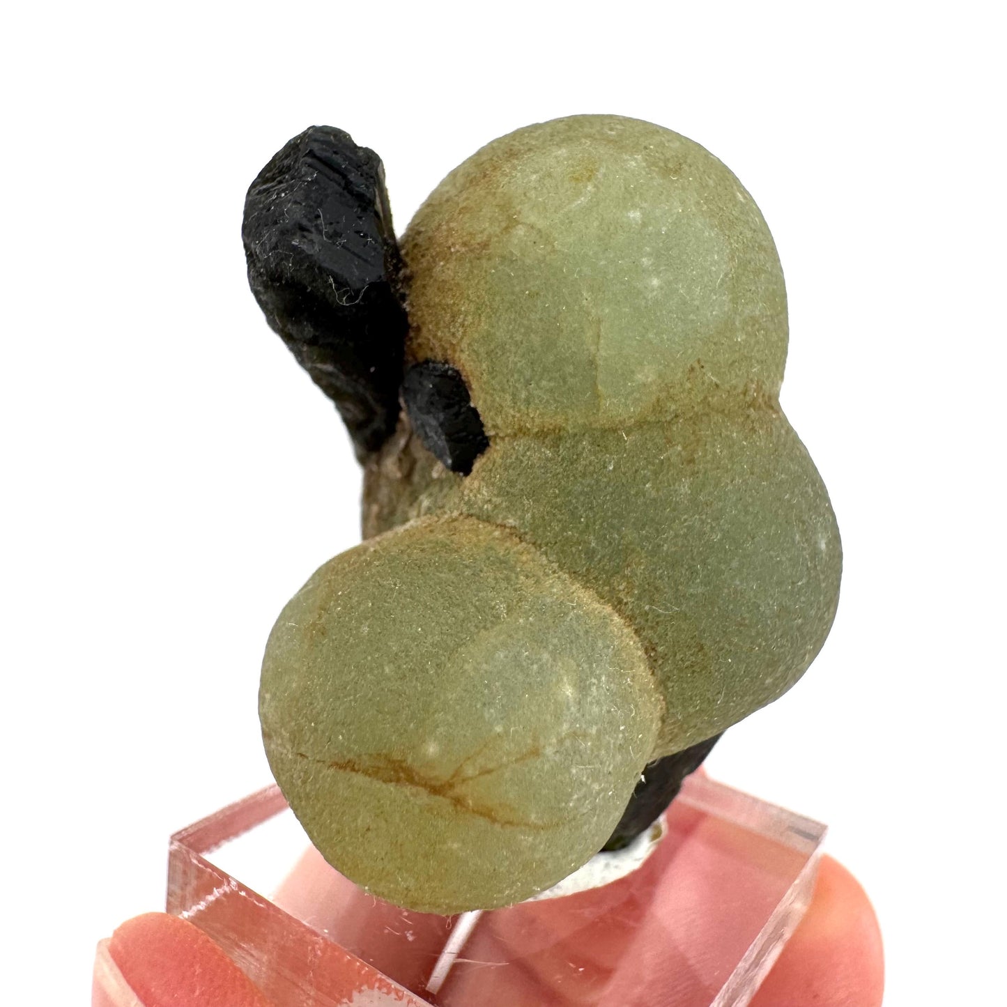 Prehnite with Epidote | Botryoidal green crystal, mineral specimen from Mali