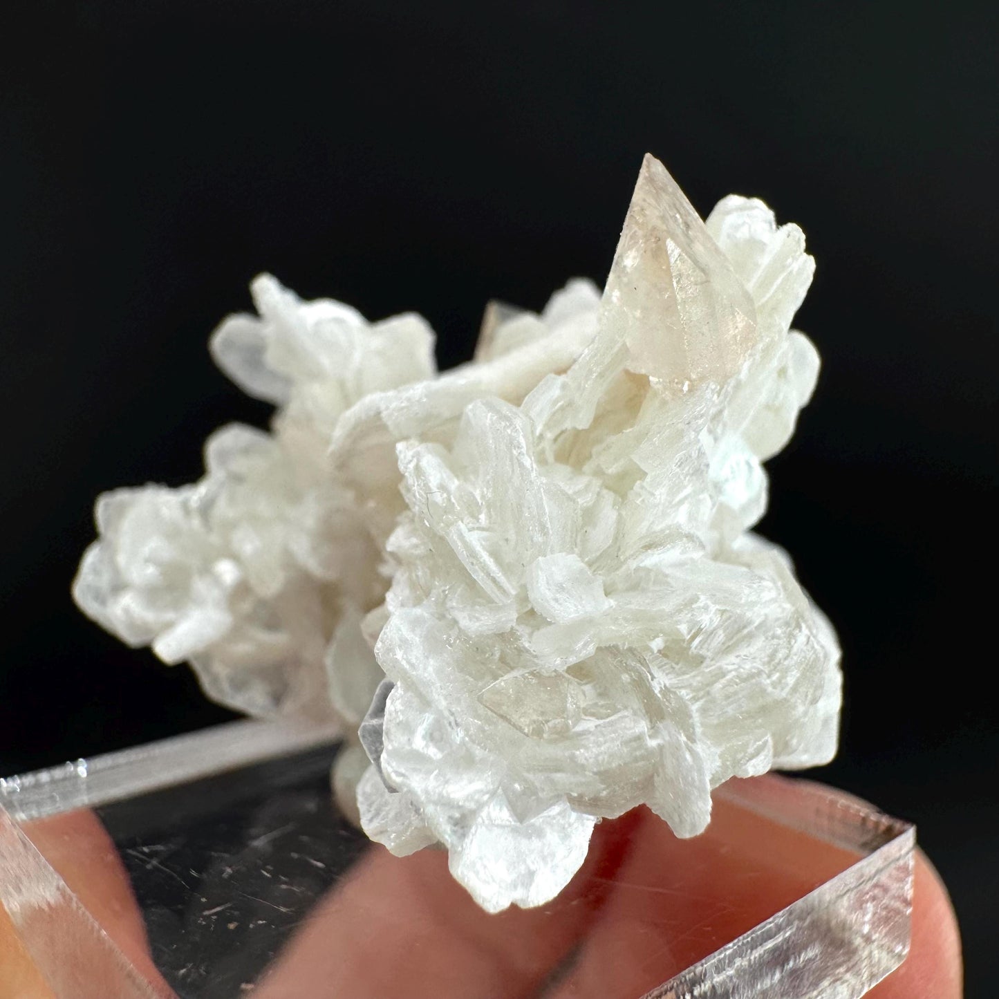 Topaz on Albite Matrix | Birthstone Crystal, Mineral Specimen from Pakistan