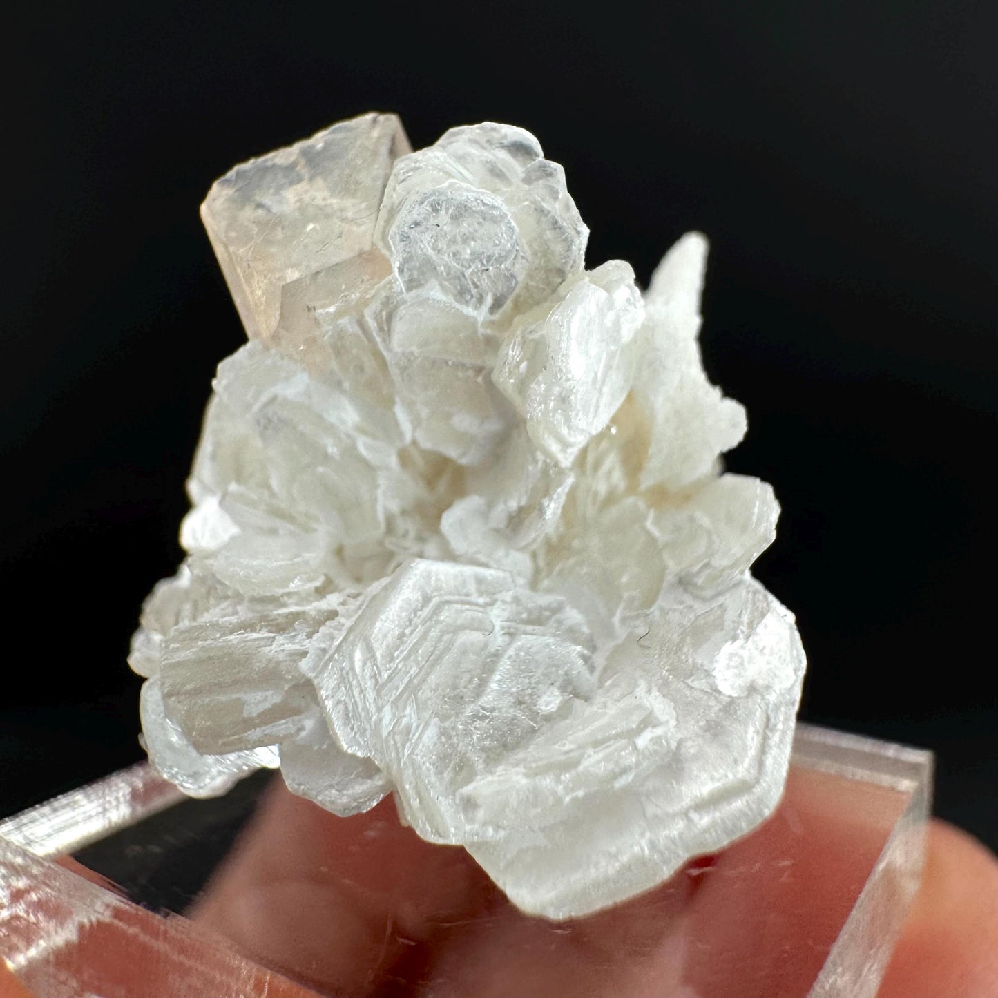 Topaz on Albite Matrix | Birthstone Crystal, Mineral Specimen from Pakistan