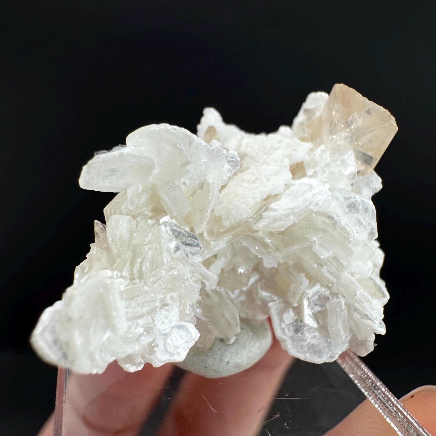 Topaz on Albite Matrix | Birthstone Crystal, Mineral Specimen from Pakistan