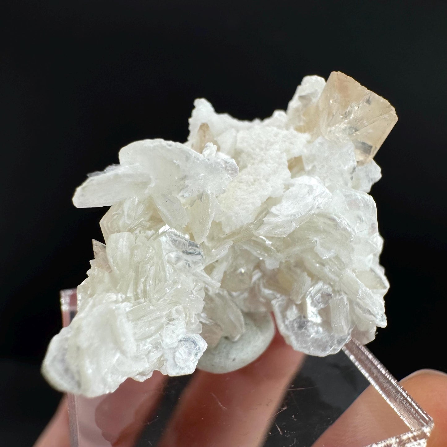 Topaz on Albite Matrix | Birthstone Crystal, Mineral Specimen from Pakistan