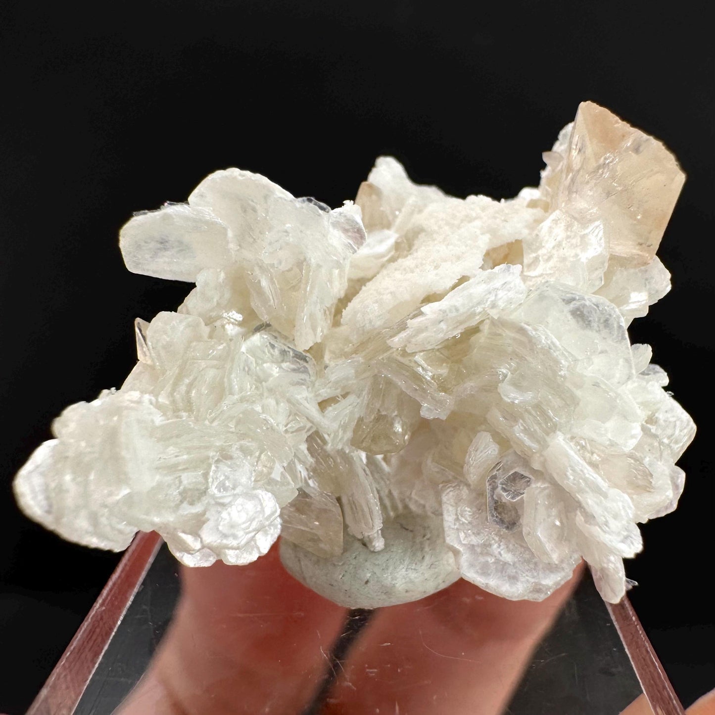 Topaz on Albite Matrix | Birthstone Crystal, Mineral Specimen from Pakistan