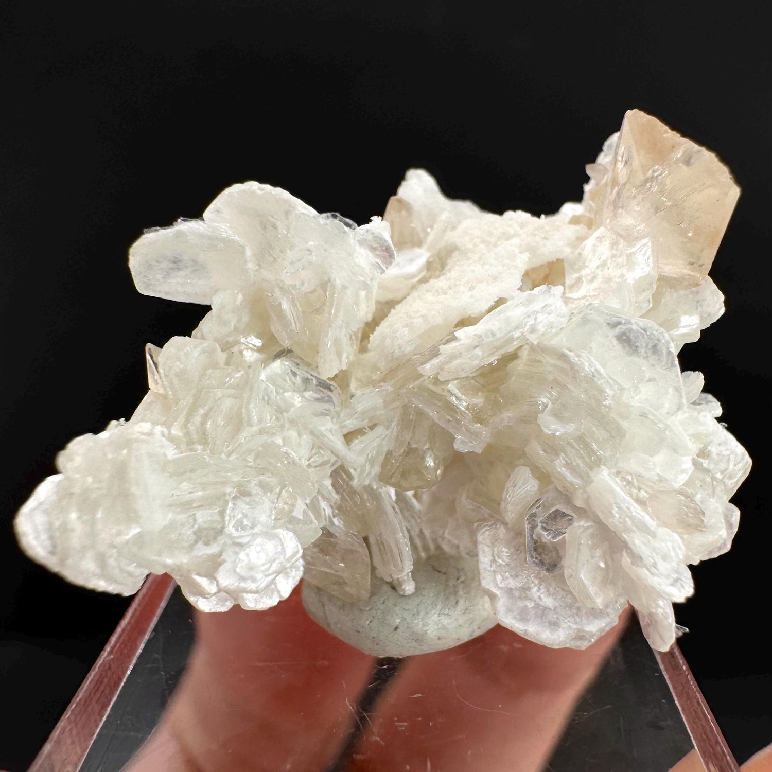 Topaz on Albite Matrix | Birthstone Crystal, Mineral Specimen from Pakistan