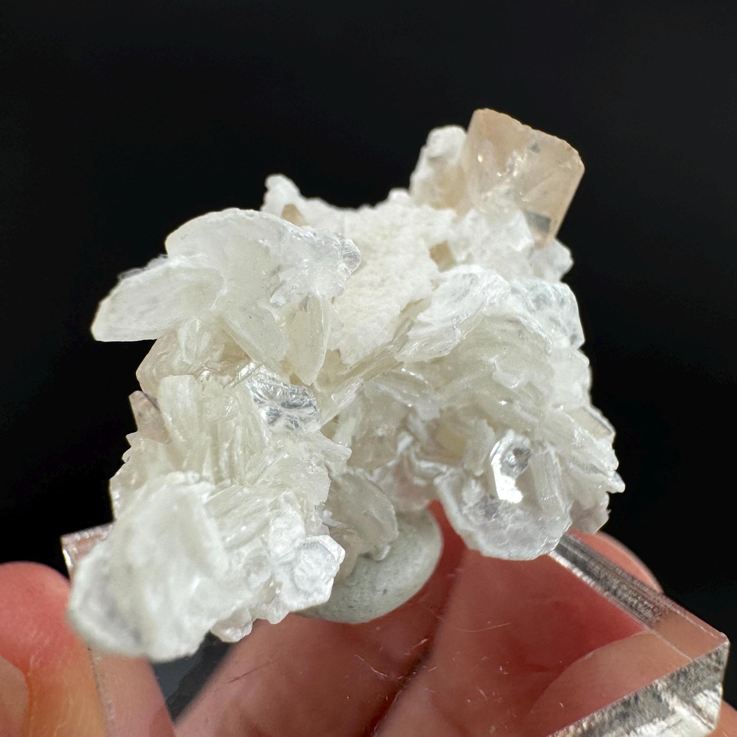 Topaz on Albite Matrix | Birthstone Crystal, Mineral Specimen from Pakistan