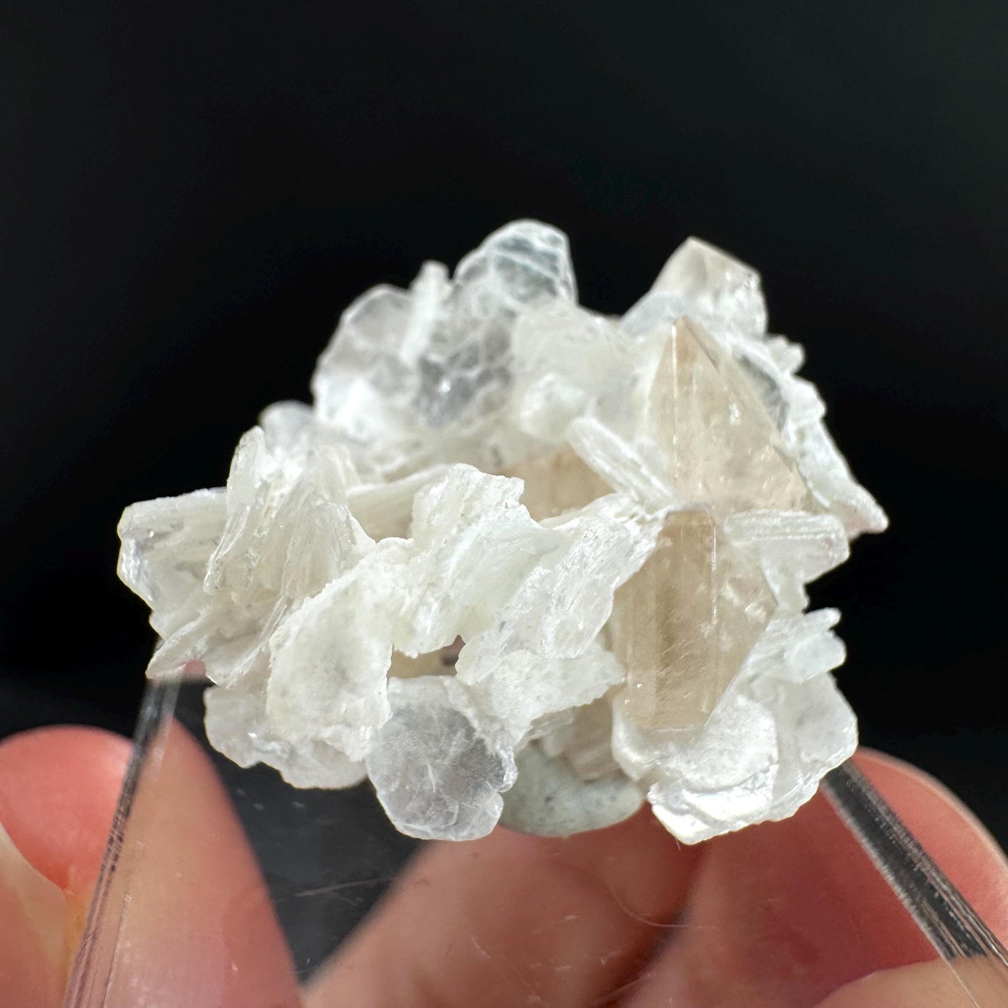 Topaz on Albite Matrix | Birthstone Crystal, Mineral Specimen from Pakistan