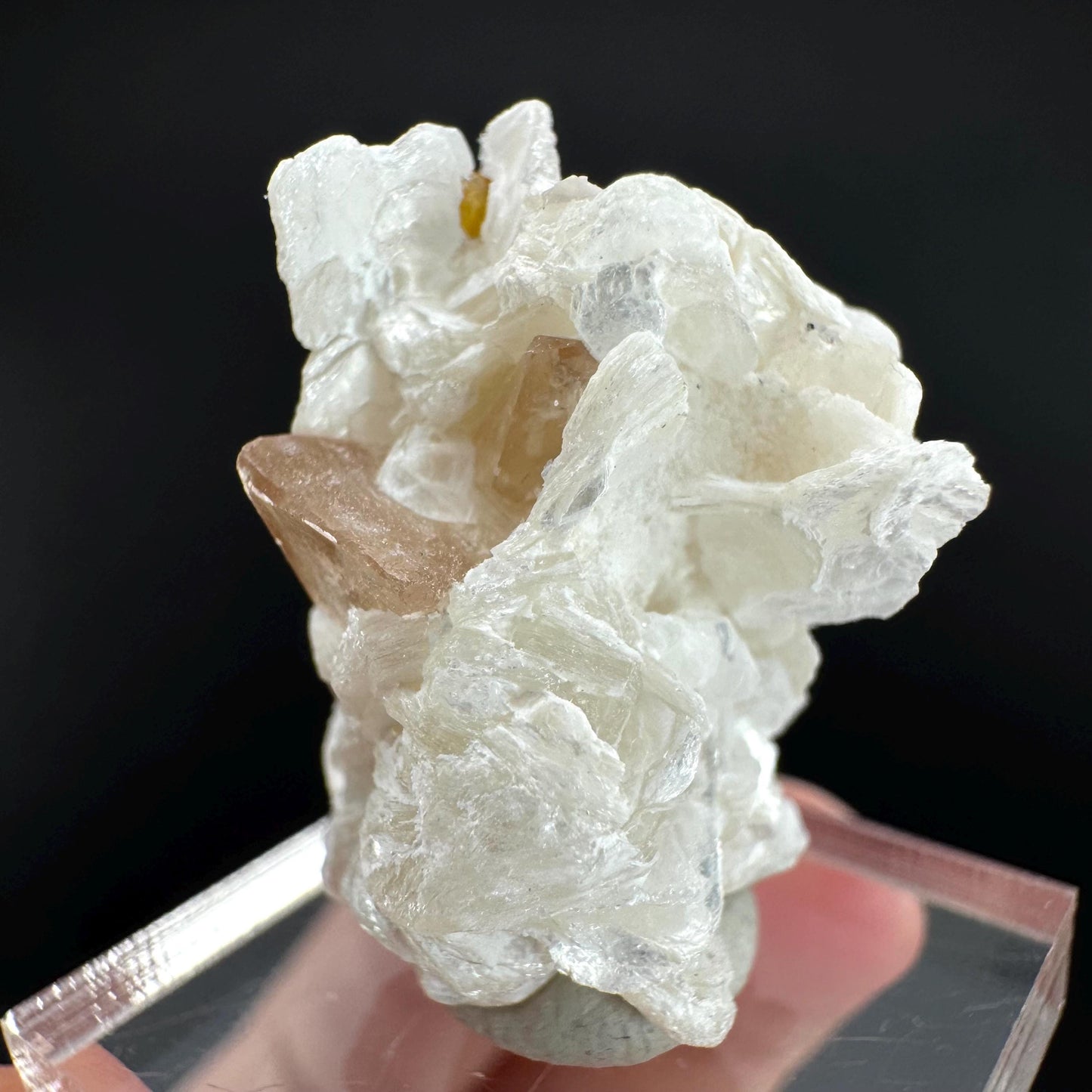 Topaz on Albite Matrix | Birthstone Crystal, Mineral Specimen from Pakistan