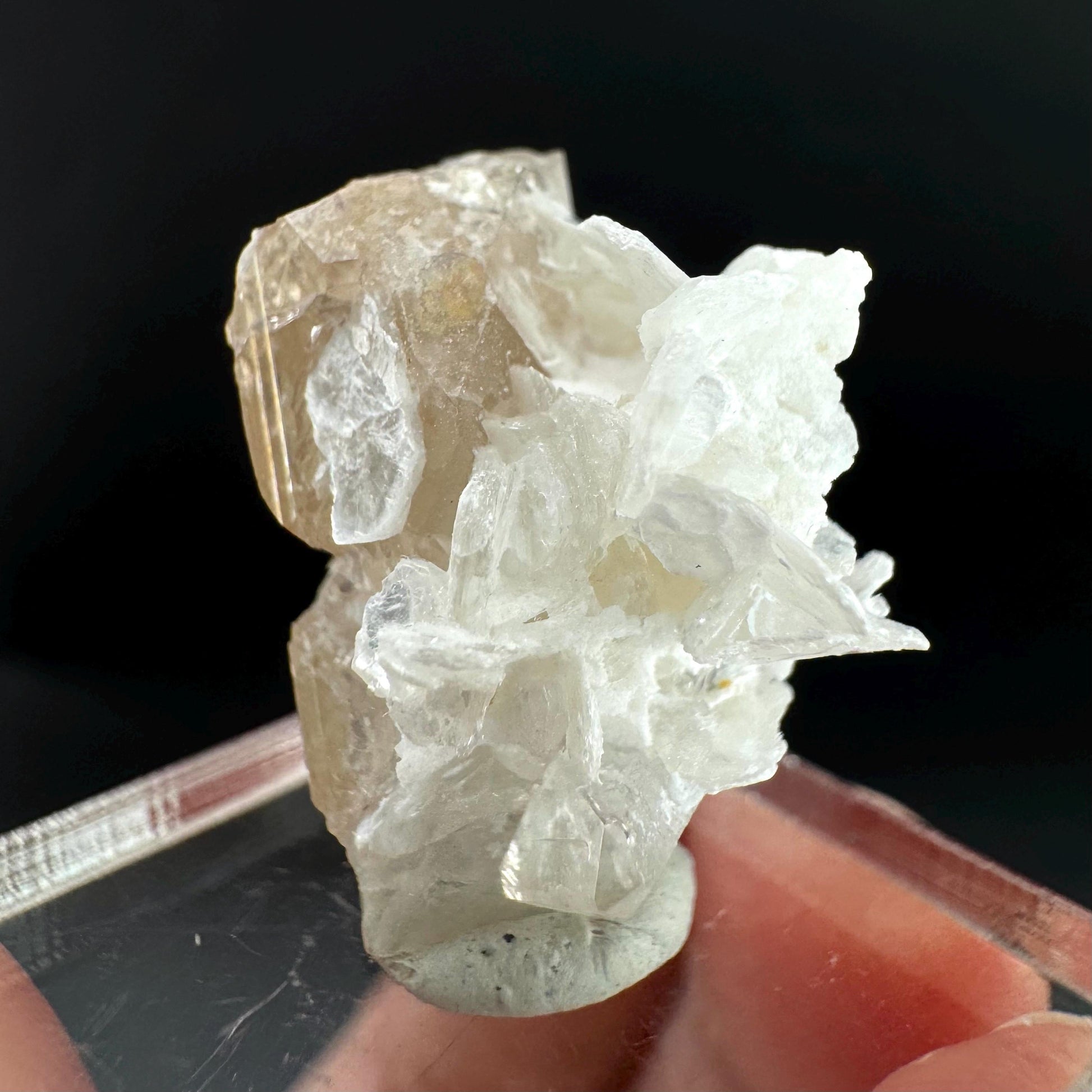 Topaz on Albite Matrix | Birthstone Crystal, Mineral Specimen from Pakistan