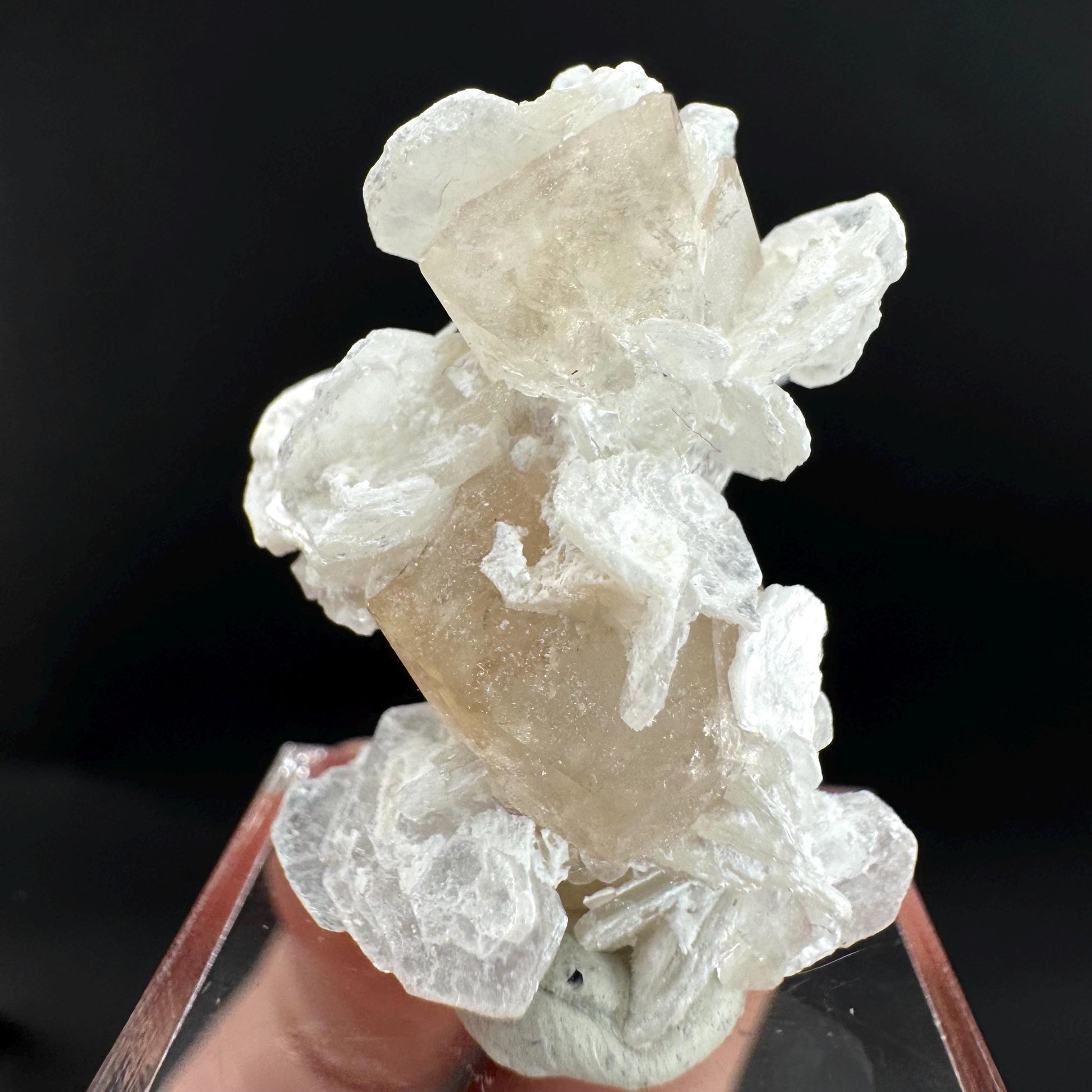 Topaz on Albite Matrix | Birthstone Crystal, Mineral Specimen from Pakistan
