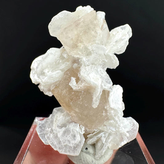 Topaz on Albite Matrix | Birthstone Crystal, Mineral Specimen from Pakistan