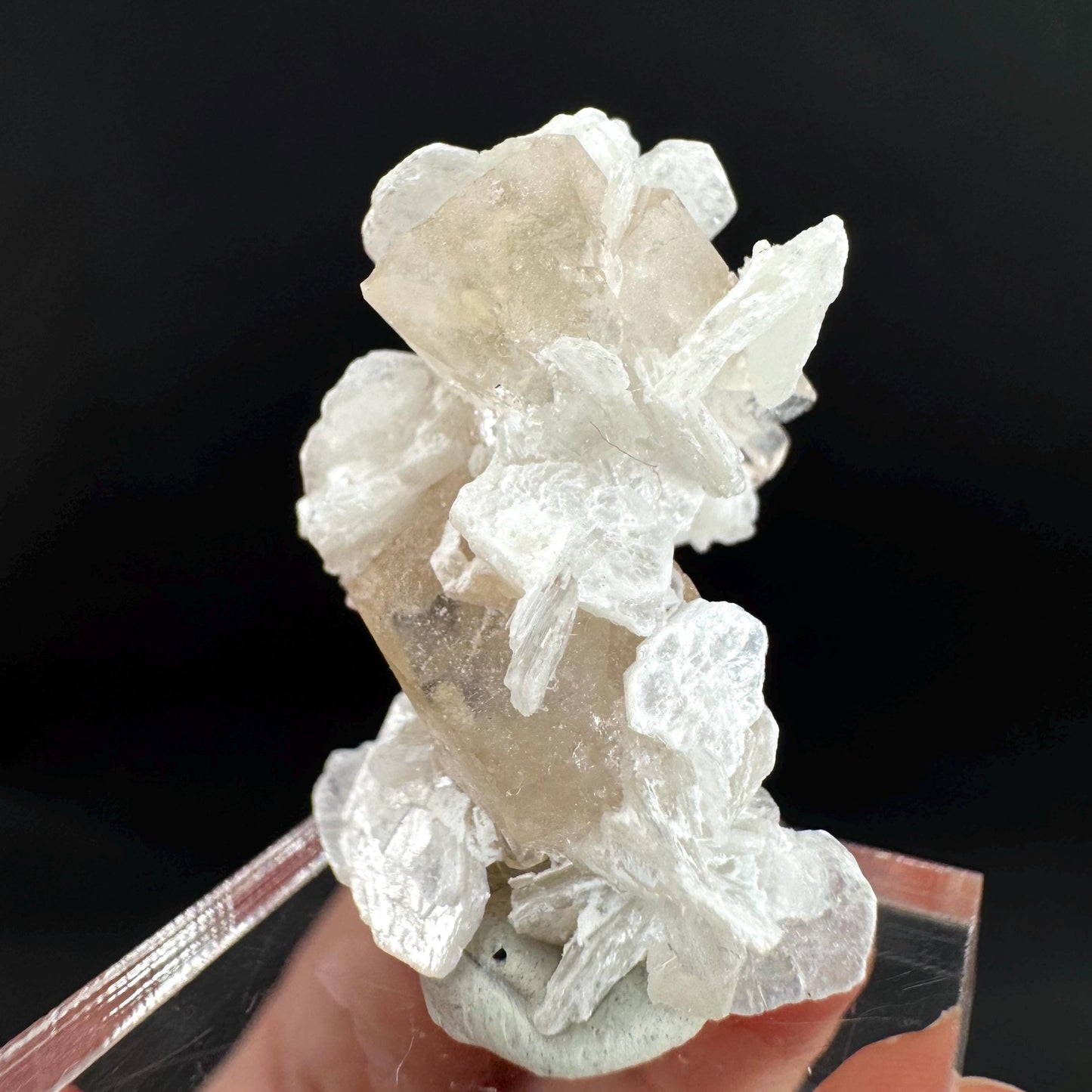 Topaz on Albite Matrix | Birthstone Crystal, Mineral Specimen from Pakistan
