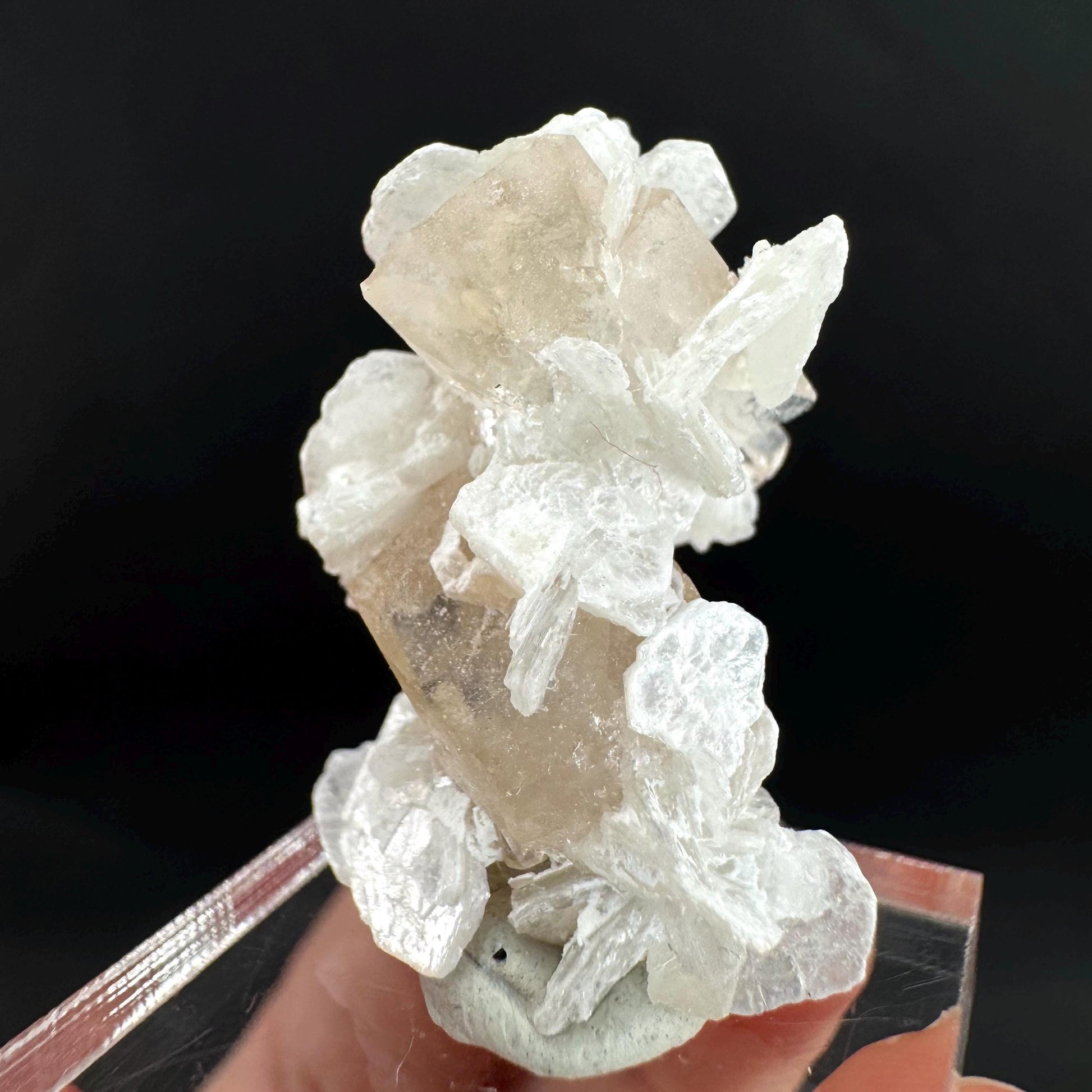 Topaz on Albite Matrix | Birthstone Crystal, Mineral Specimen from Pakistan