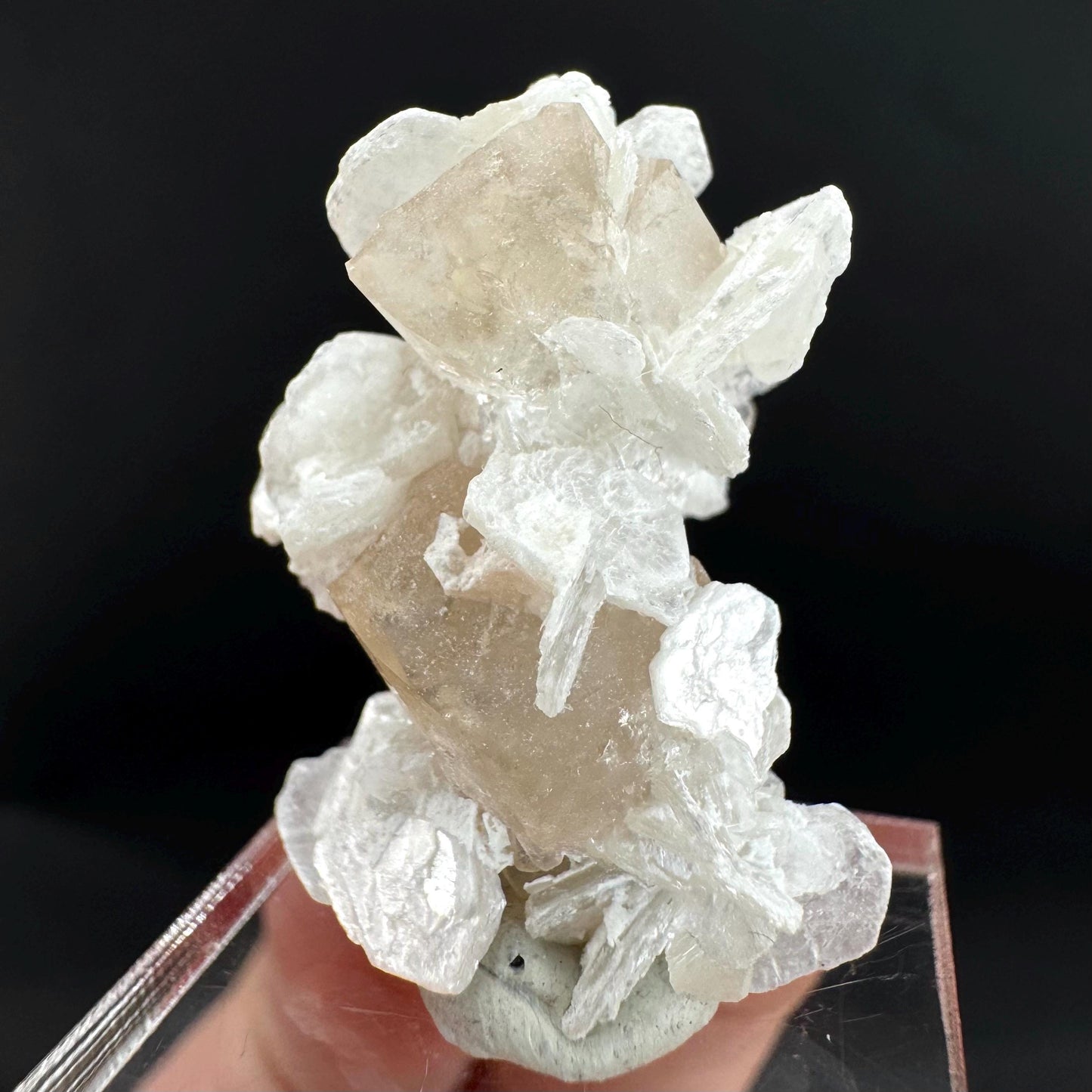 Topaz on Albite Matrix | Birthstone Crystal, Mineral Specimen from Pakistan