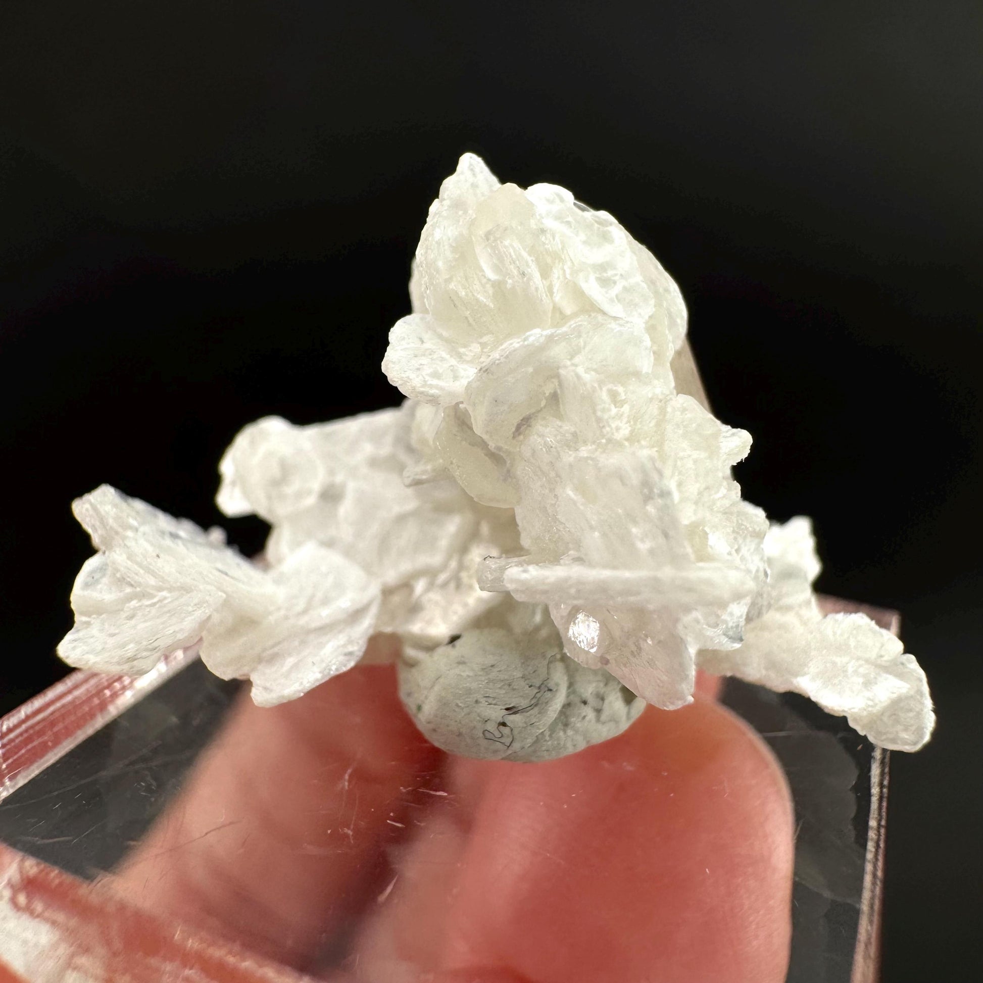Topaz on Albite Matrix | Birthstone Crystal, Mineral Specimen from Pakistan