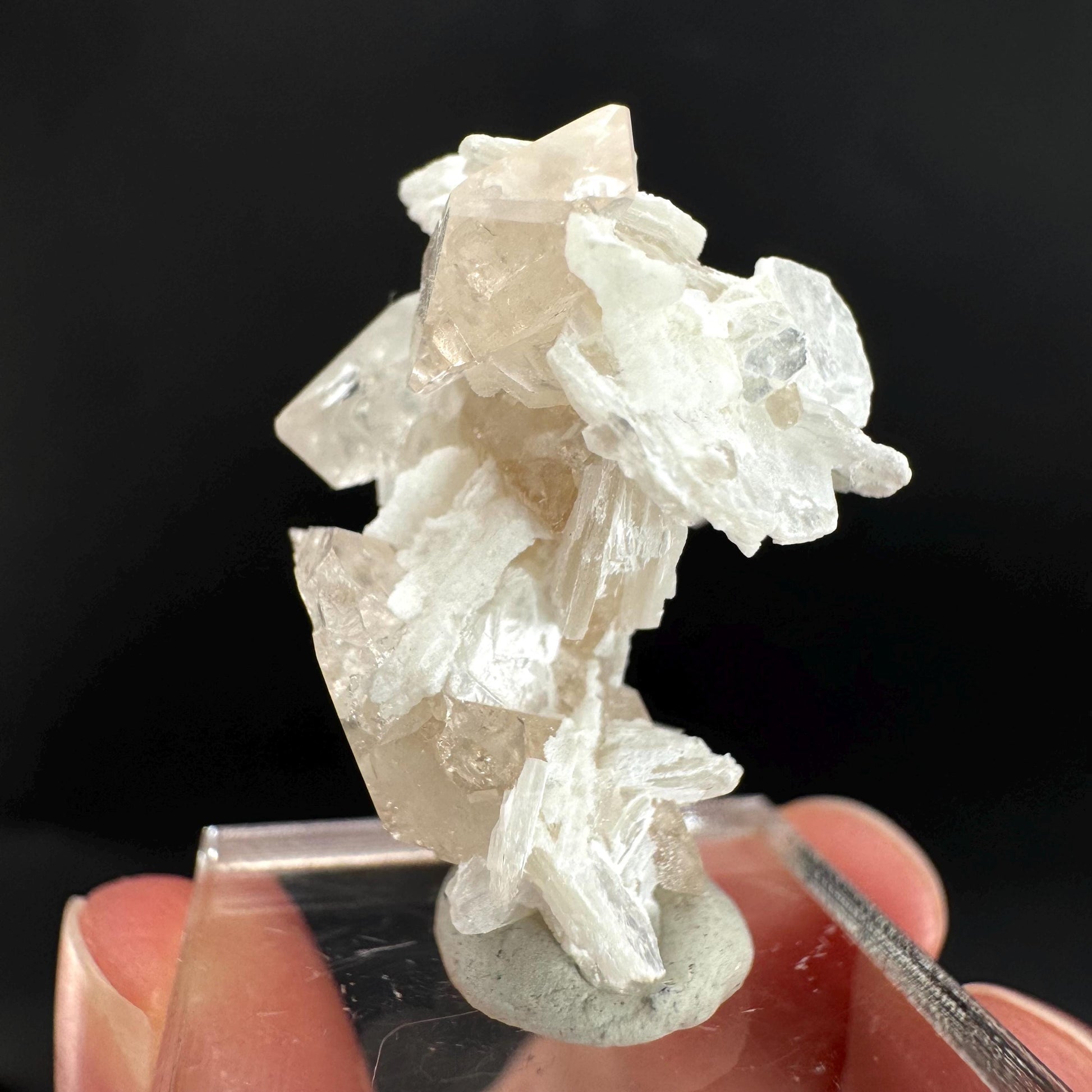 Topaz on Albite Matrix | Birthstone Crystal, Mineral Specimen from Pakistan