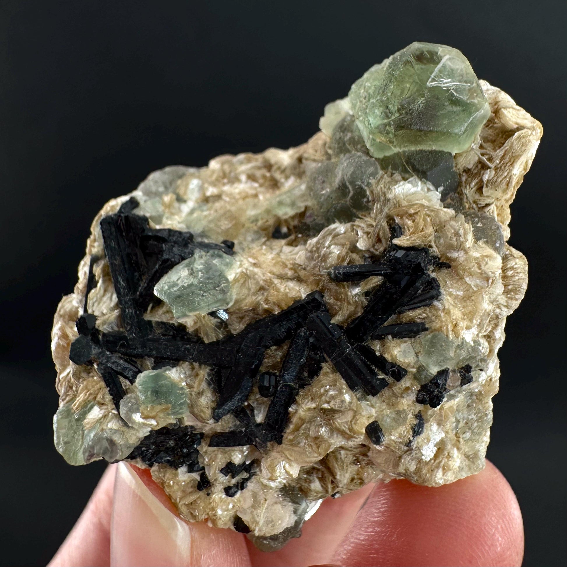 Fluorite w/ Schorl, & Muscovite | Lollipop Pocket, green crystal cluster, mineral specimen from Namibia