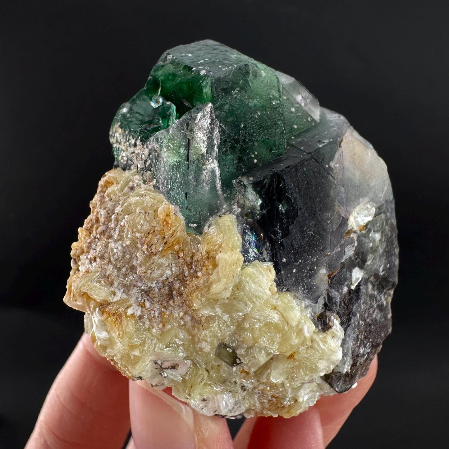 Fluorite | green crystal, mineral specimen from Erongo, Namibia