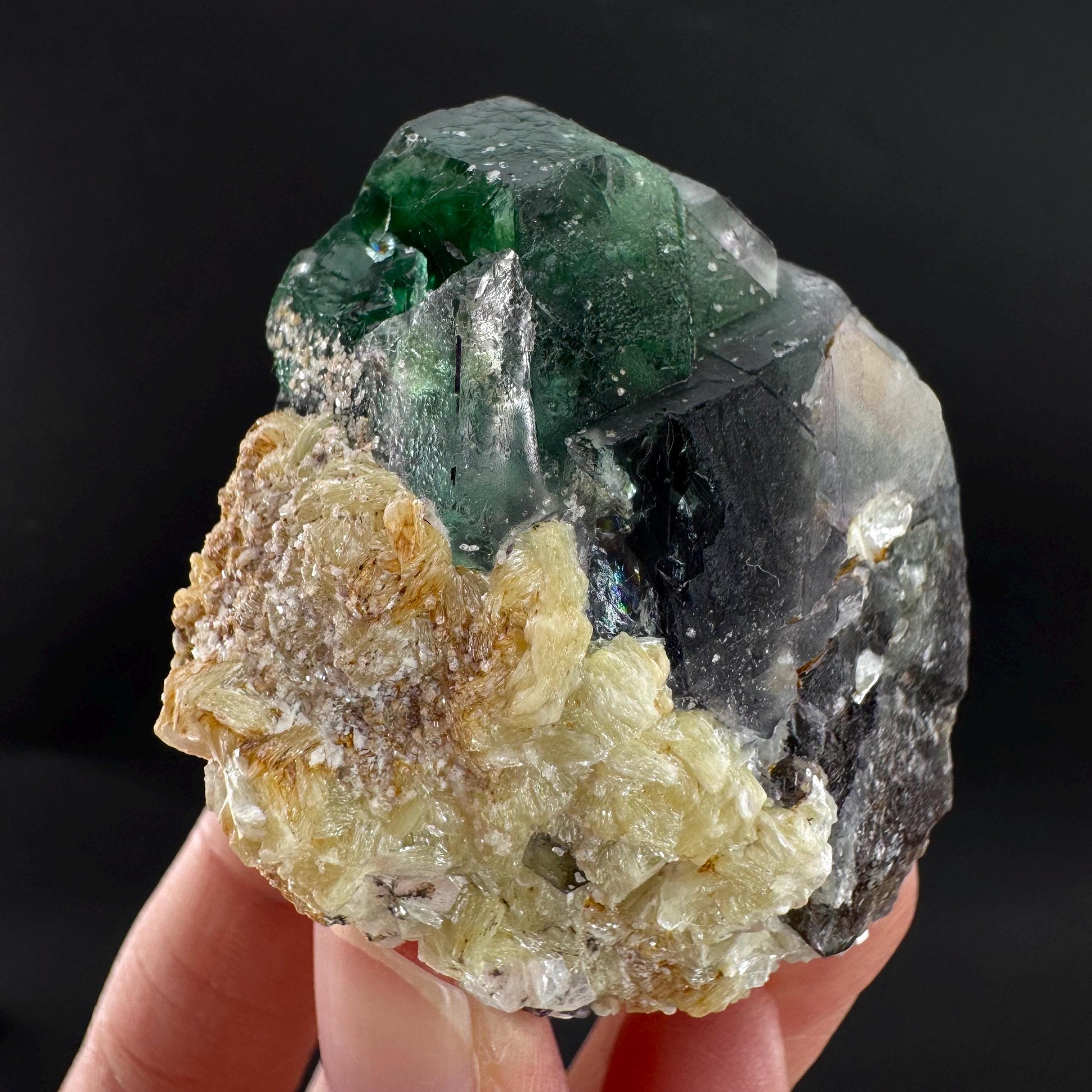 Fluorite | green crystal, mineral specimen from Erongo, Namibia