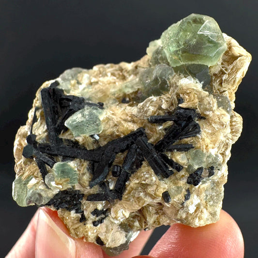 Fluorite w/ Schorl, & Muscovite | Lollipop Pocket, green crystal cluster, mineral specimen from Namibia